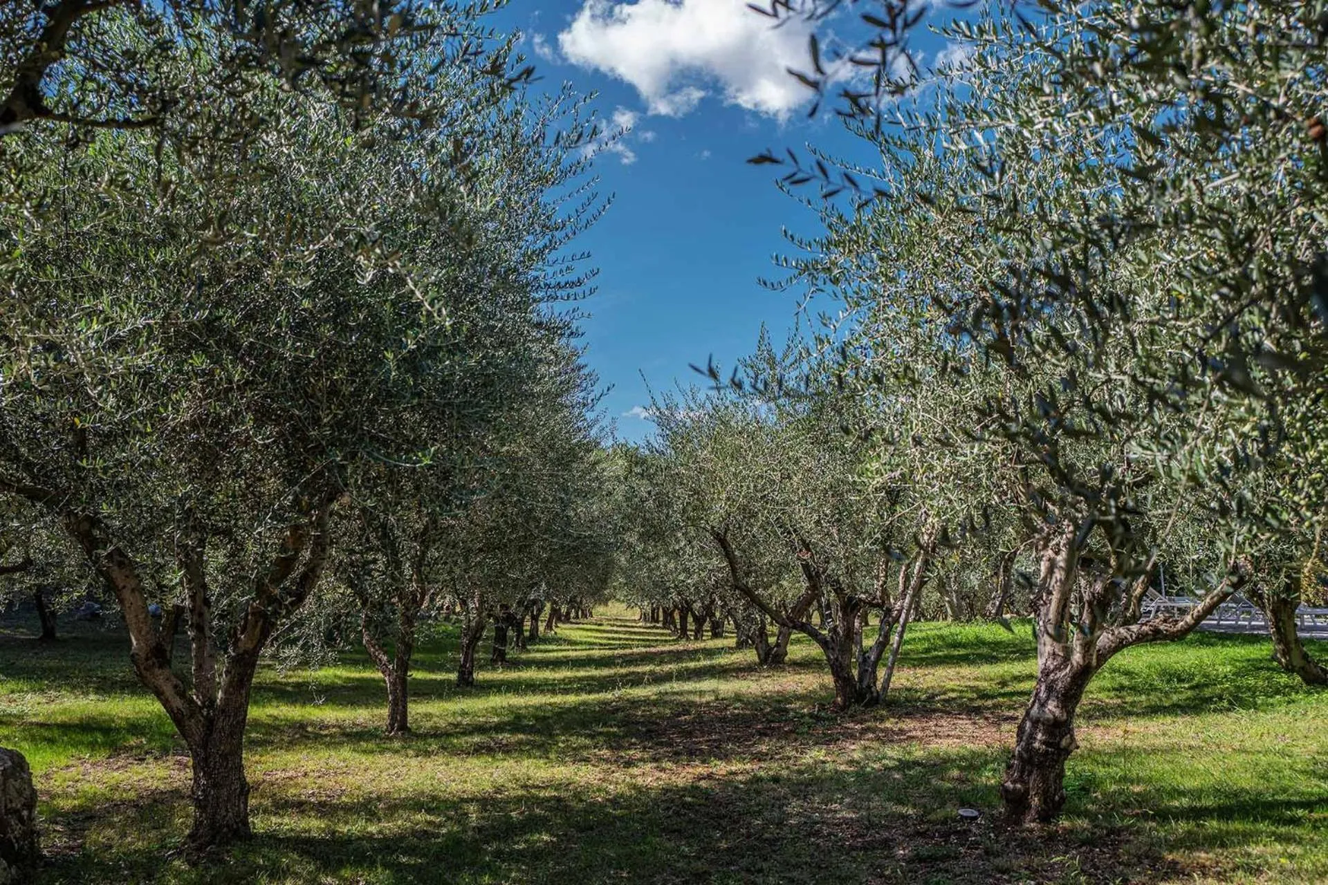 Spring in Aquapetra Resort & Spa