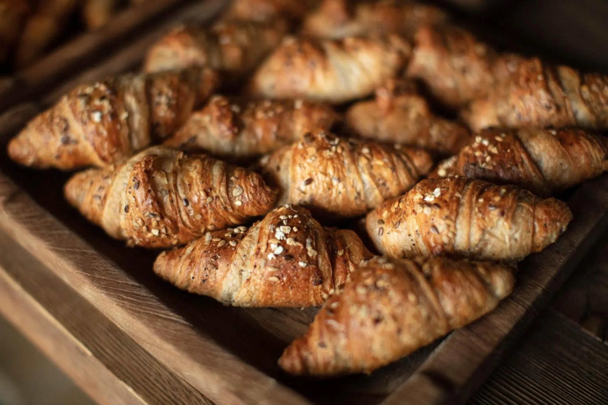 Food and drinks in Aquapetra Resort & Spa