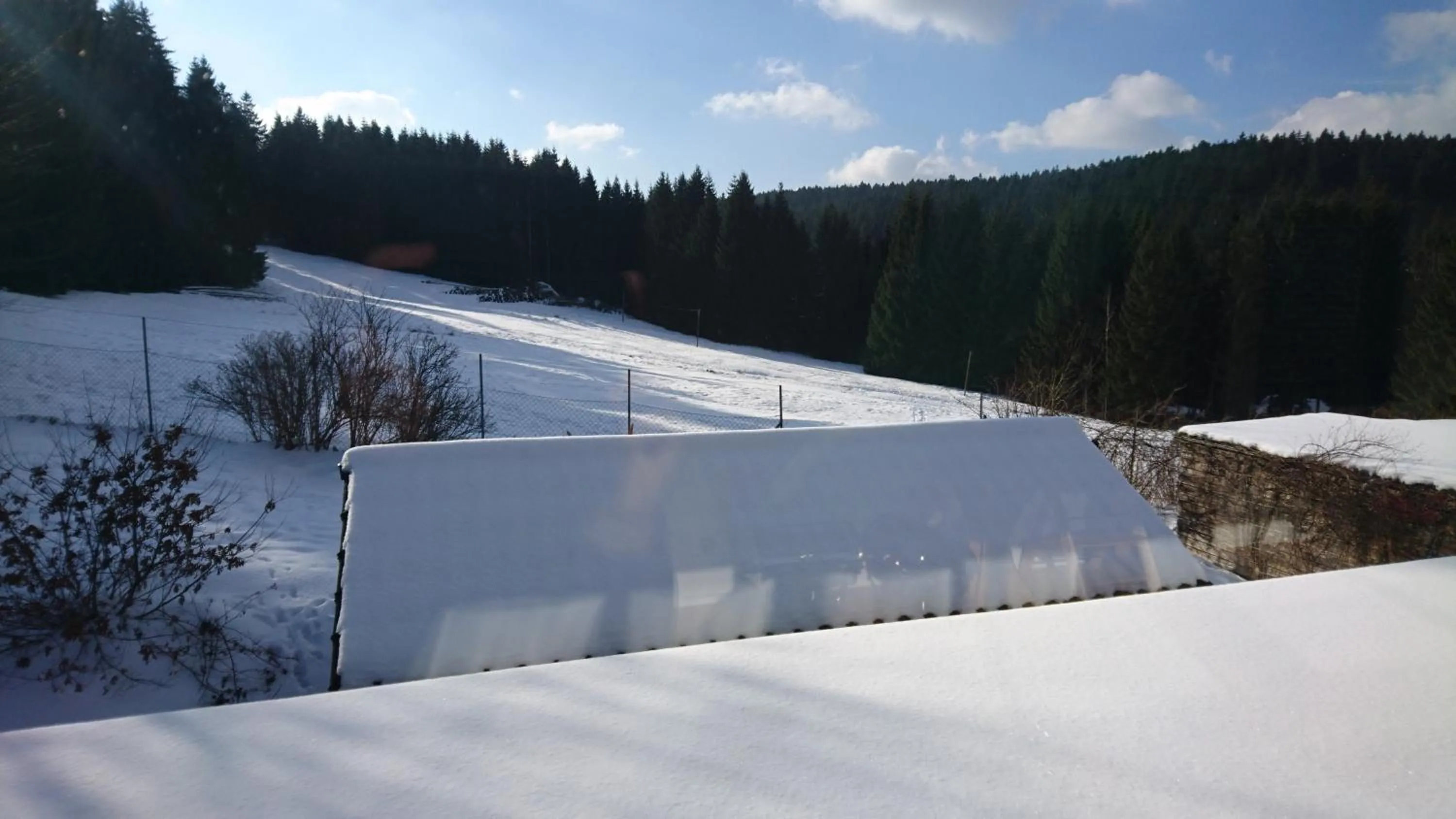 View (from property/room) in Quellenhof Altenau