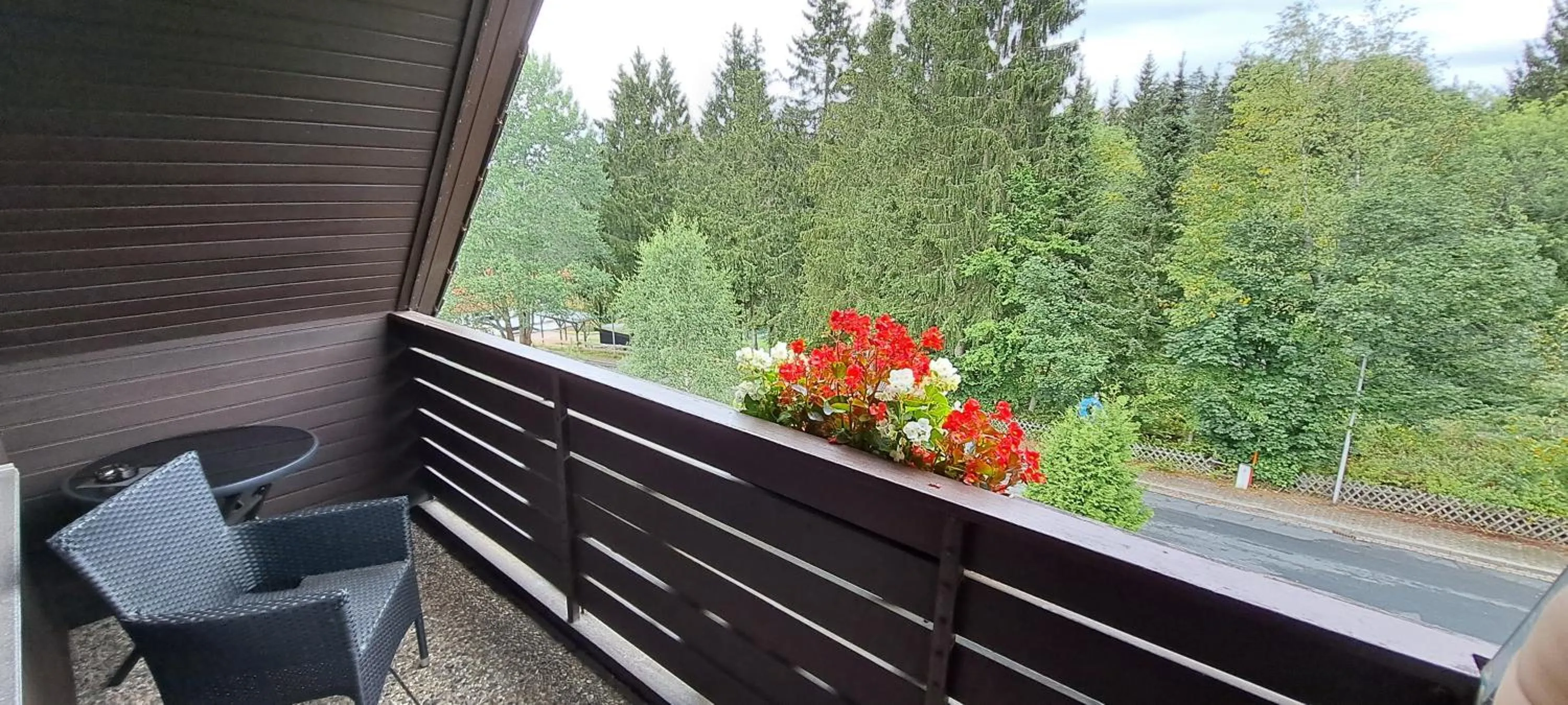 View (from property/room) in Quellenhof Altenau
