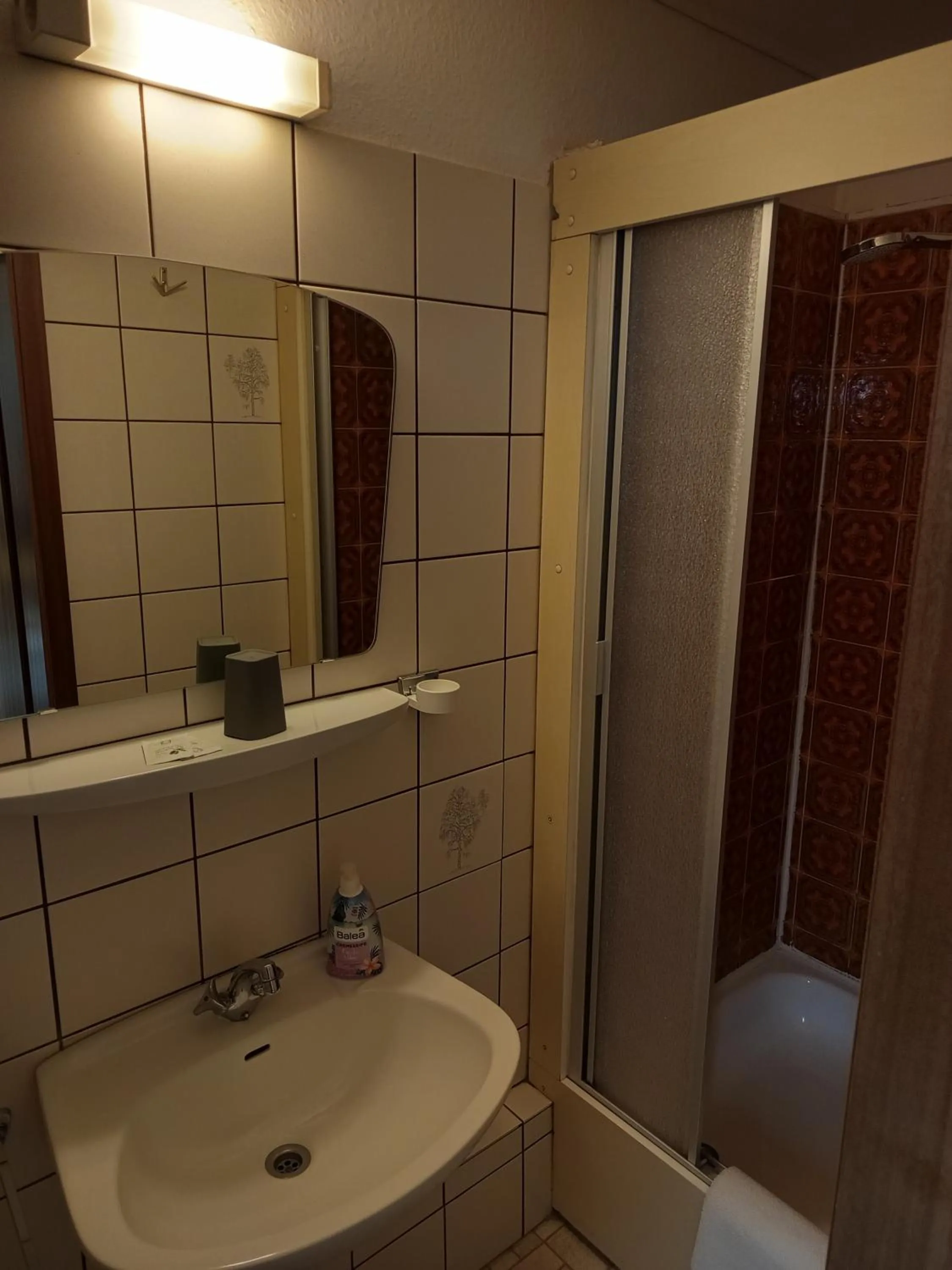 Bathroom in Quellenhof Altenau