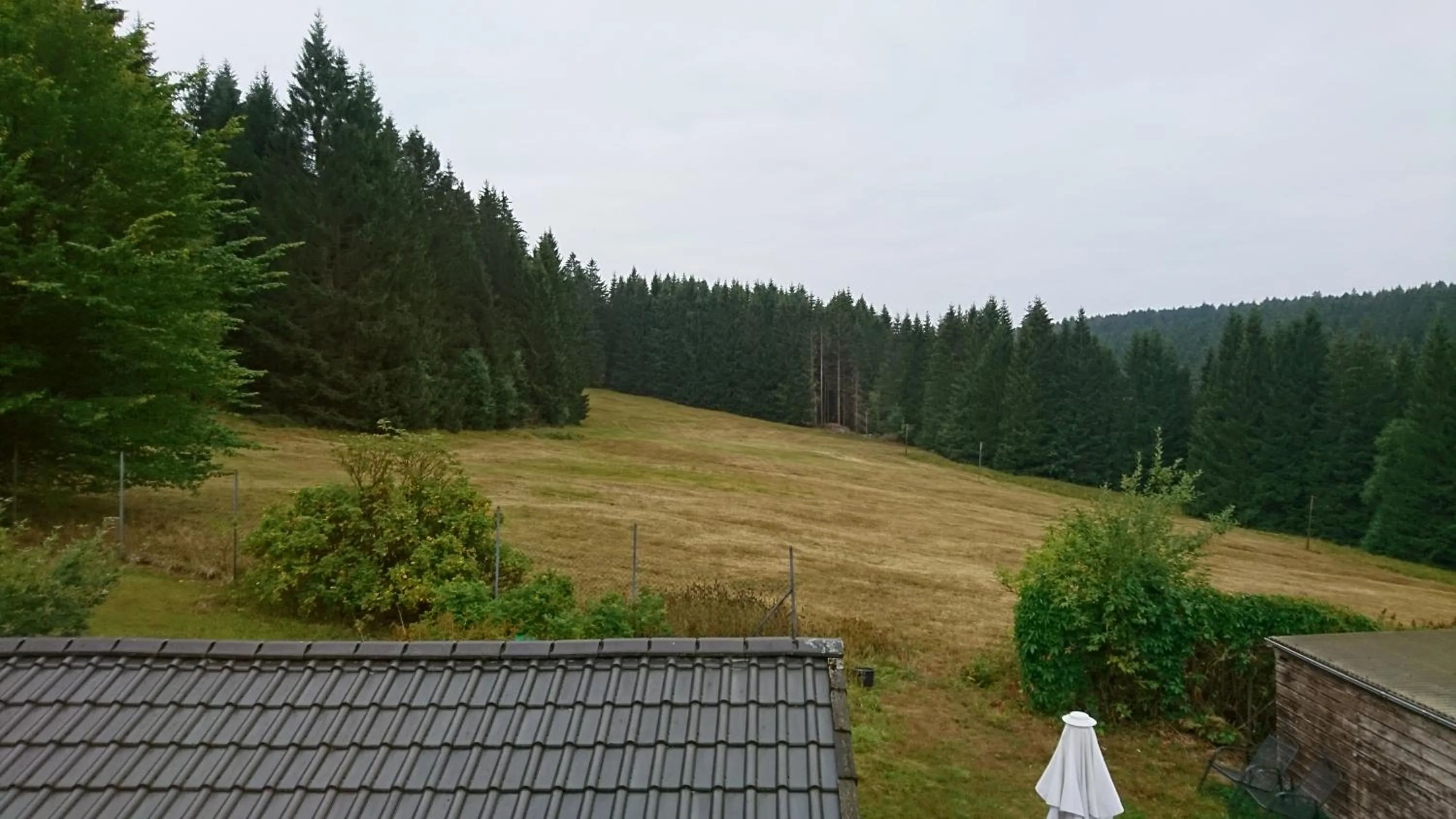 View (from property/room) in Quellenhof Altenau