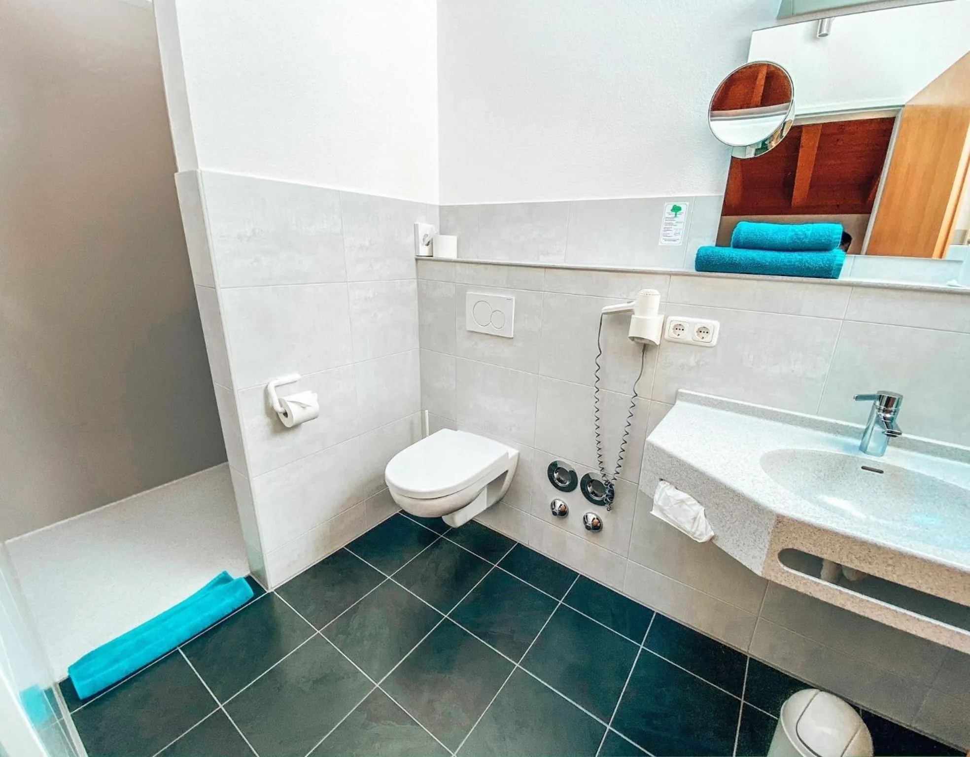 Toilet in Hotel Schwertfirm