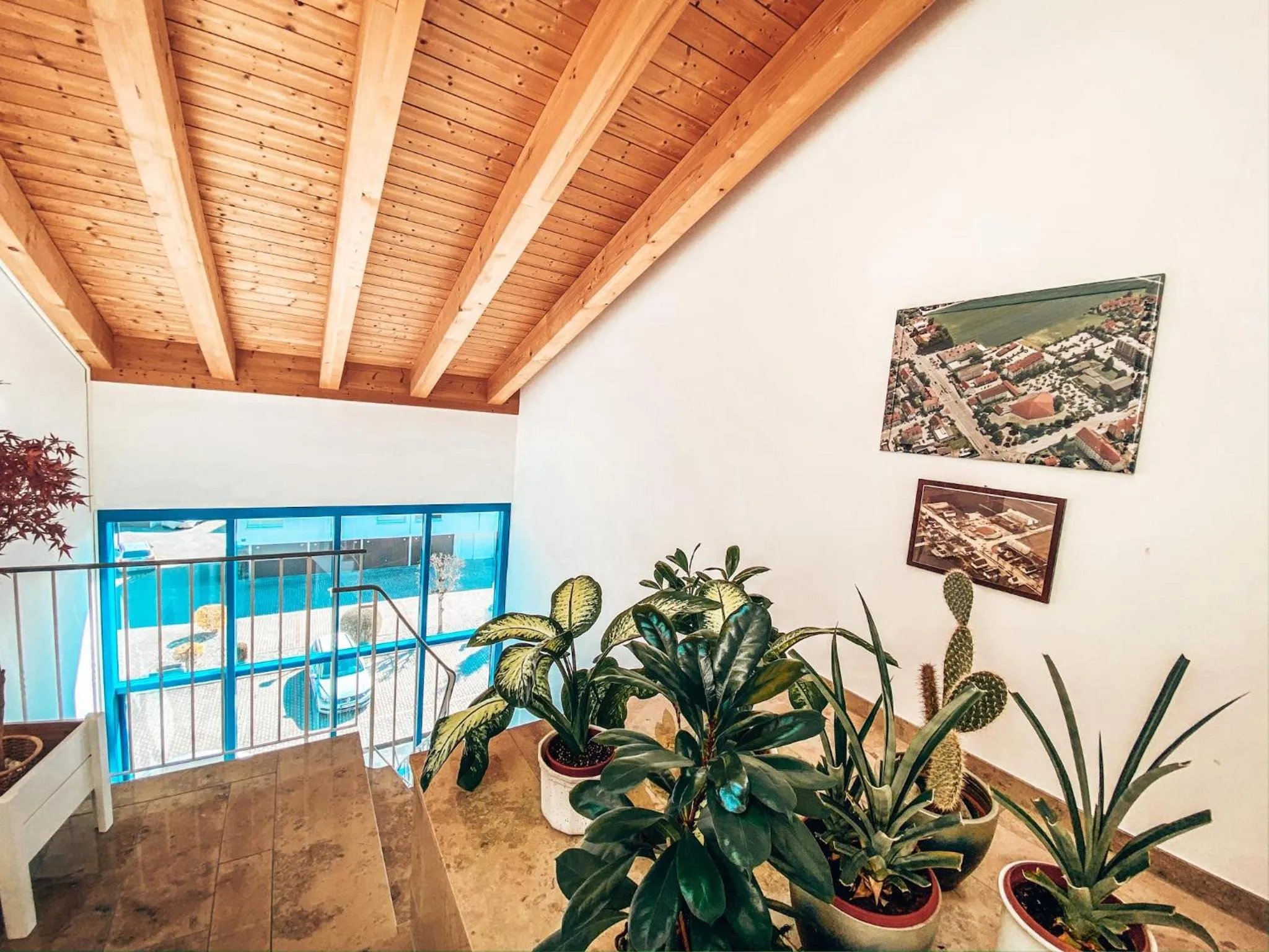 Area and facilities in Hotel Schwertfirm