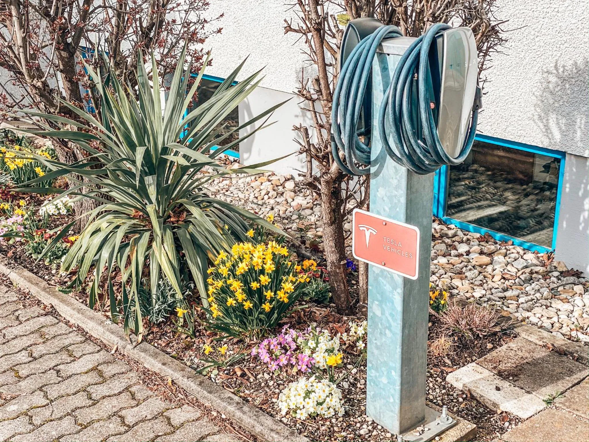 On site in Hotel Schwertfirm