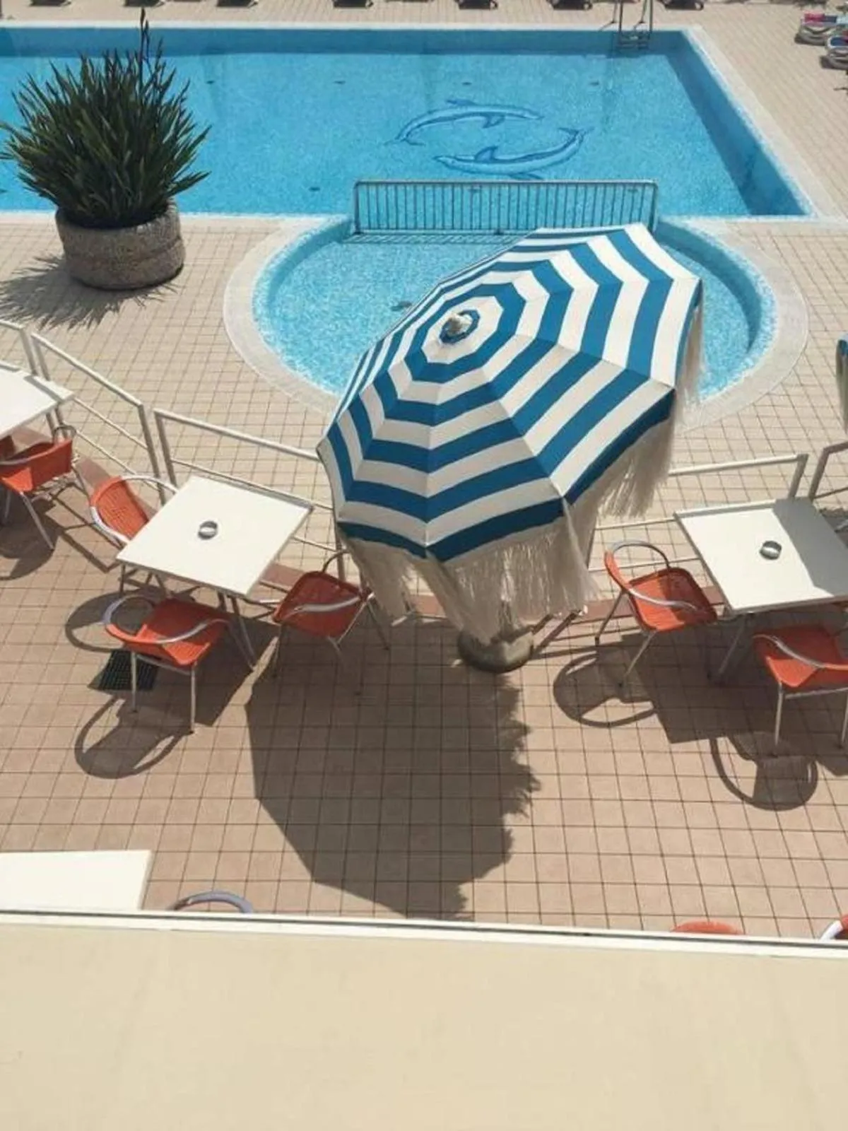 Spring in Hotel Condor