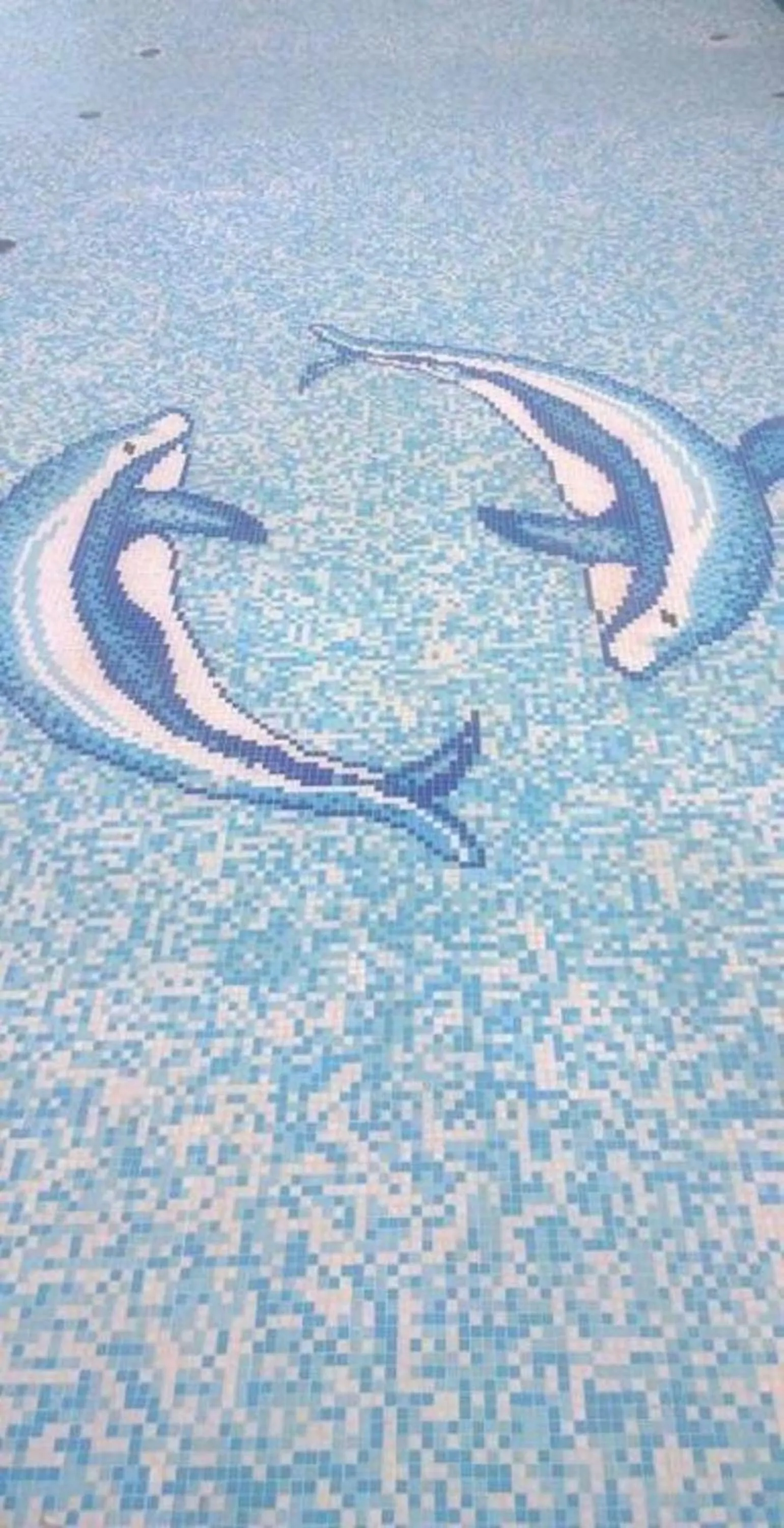 Pool view in Hotel Condor