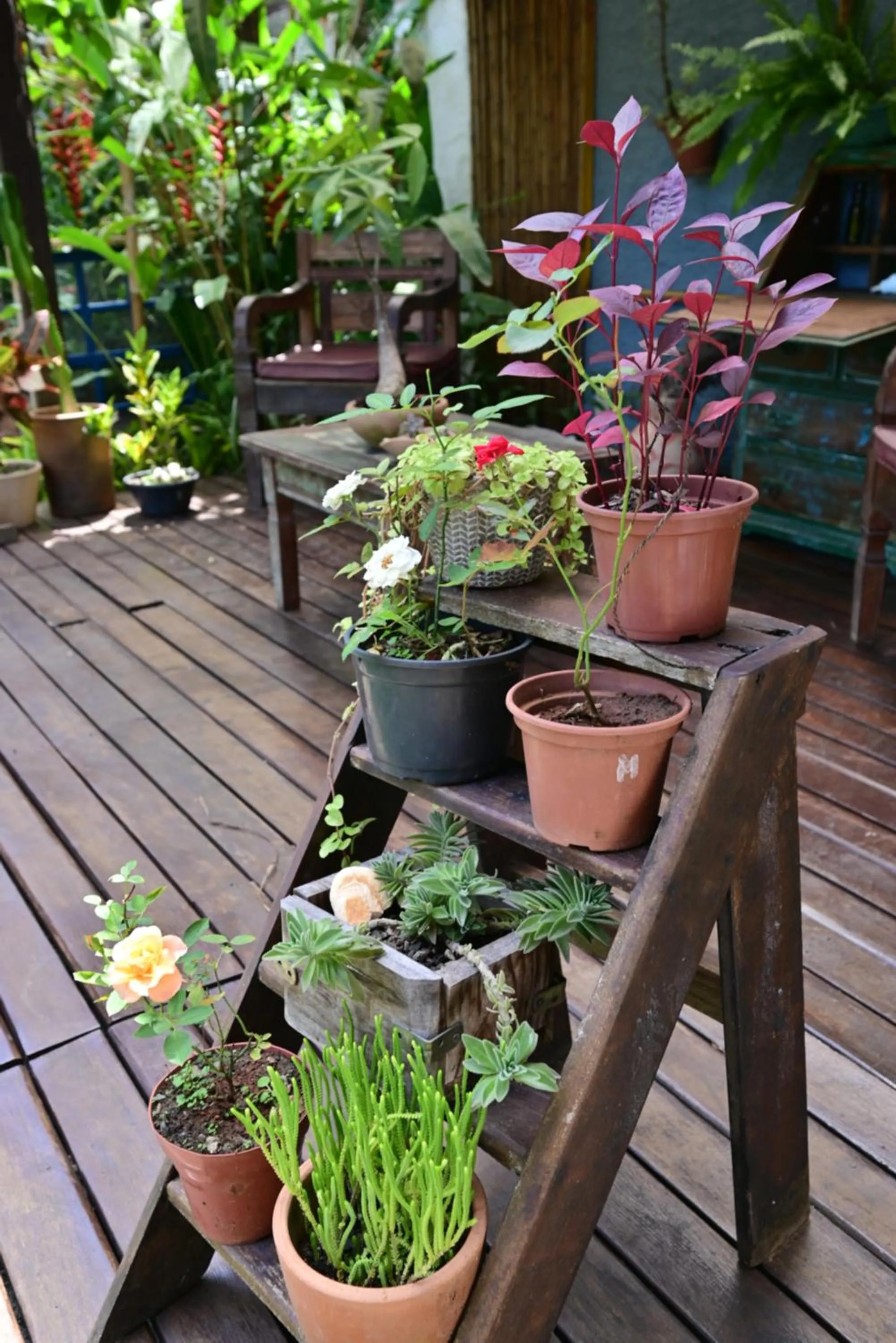 Garden in Gambá Casa Boutique