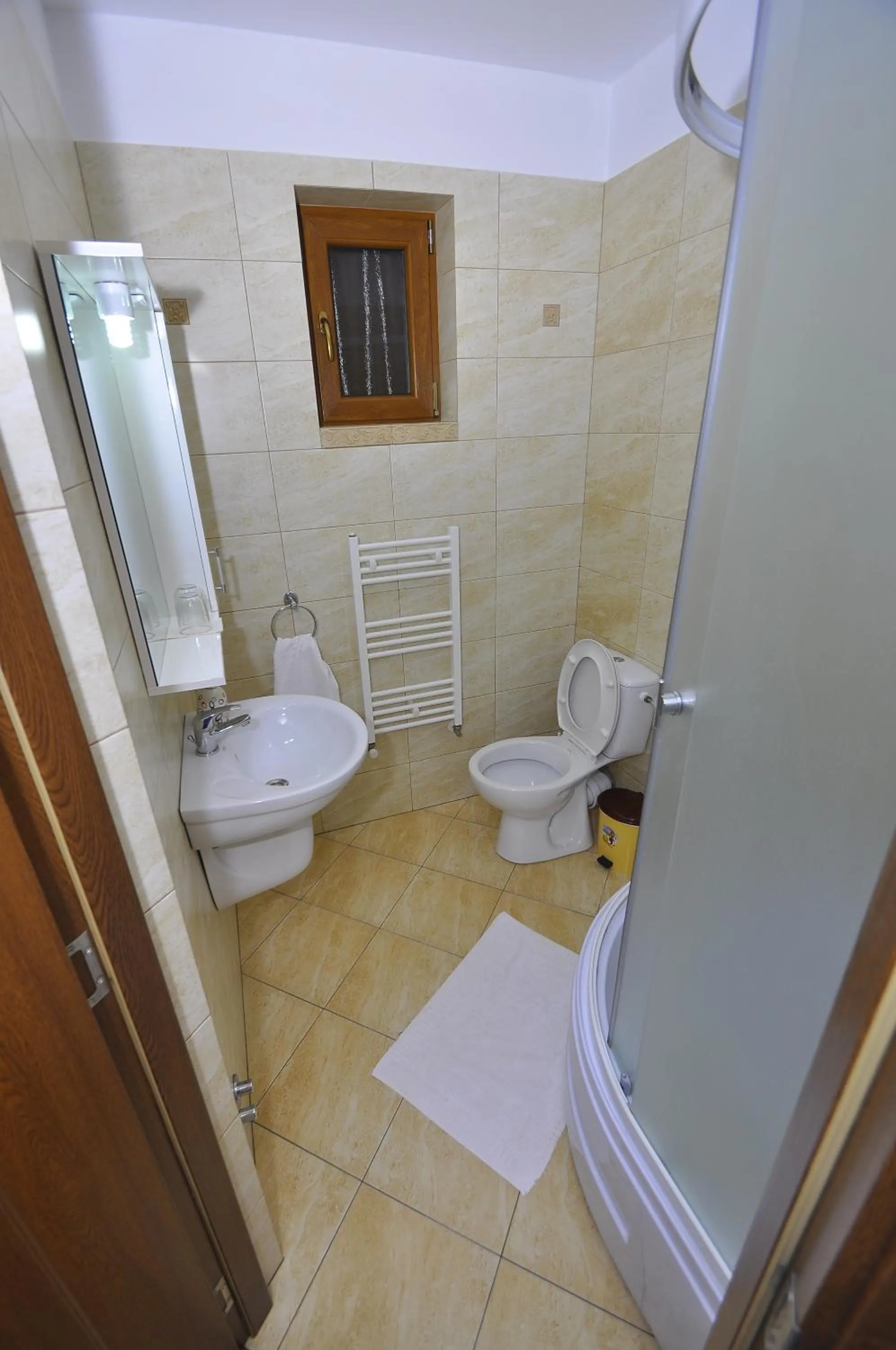 Bathroom in Pensiunea Eladi