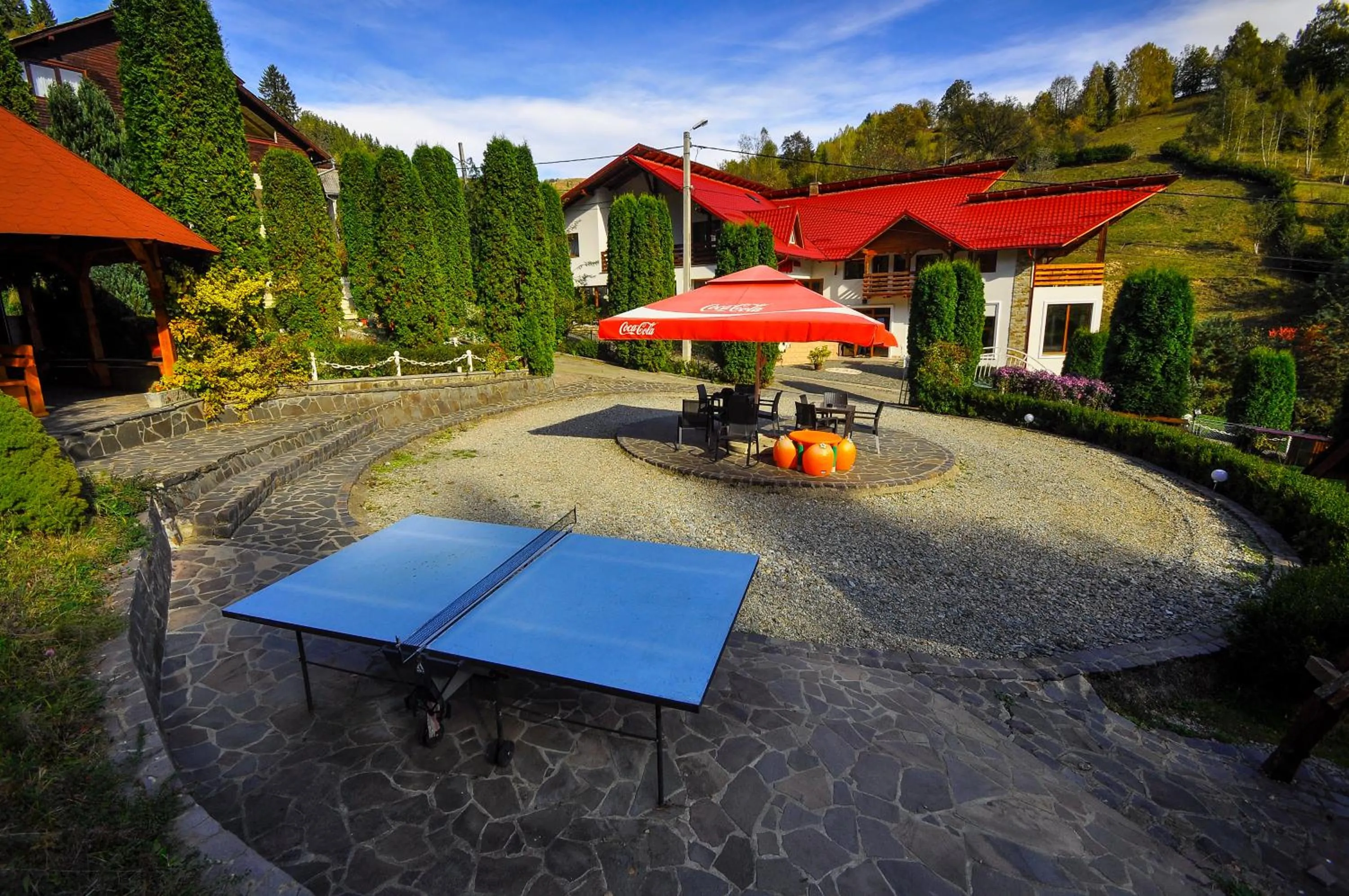 Table tennis in Pensiunea Eladi