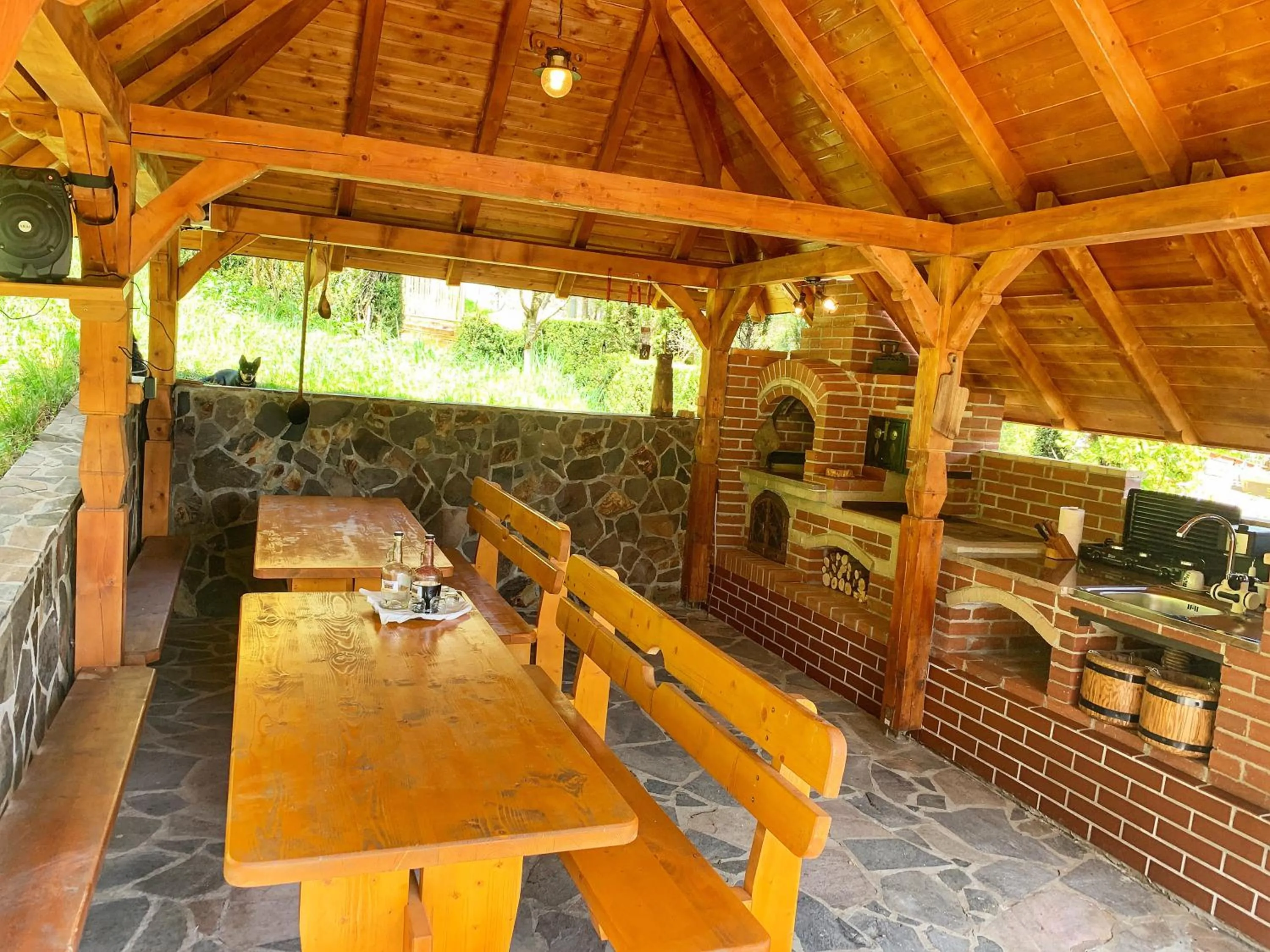 BBQ facilities in Pensiunea Eladi