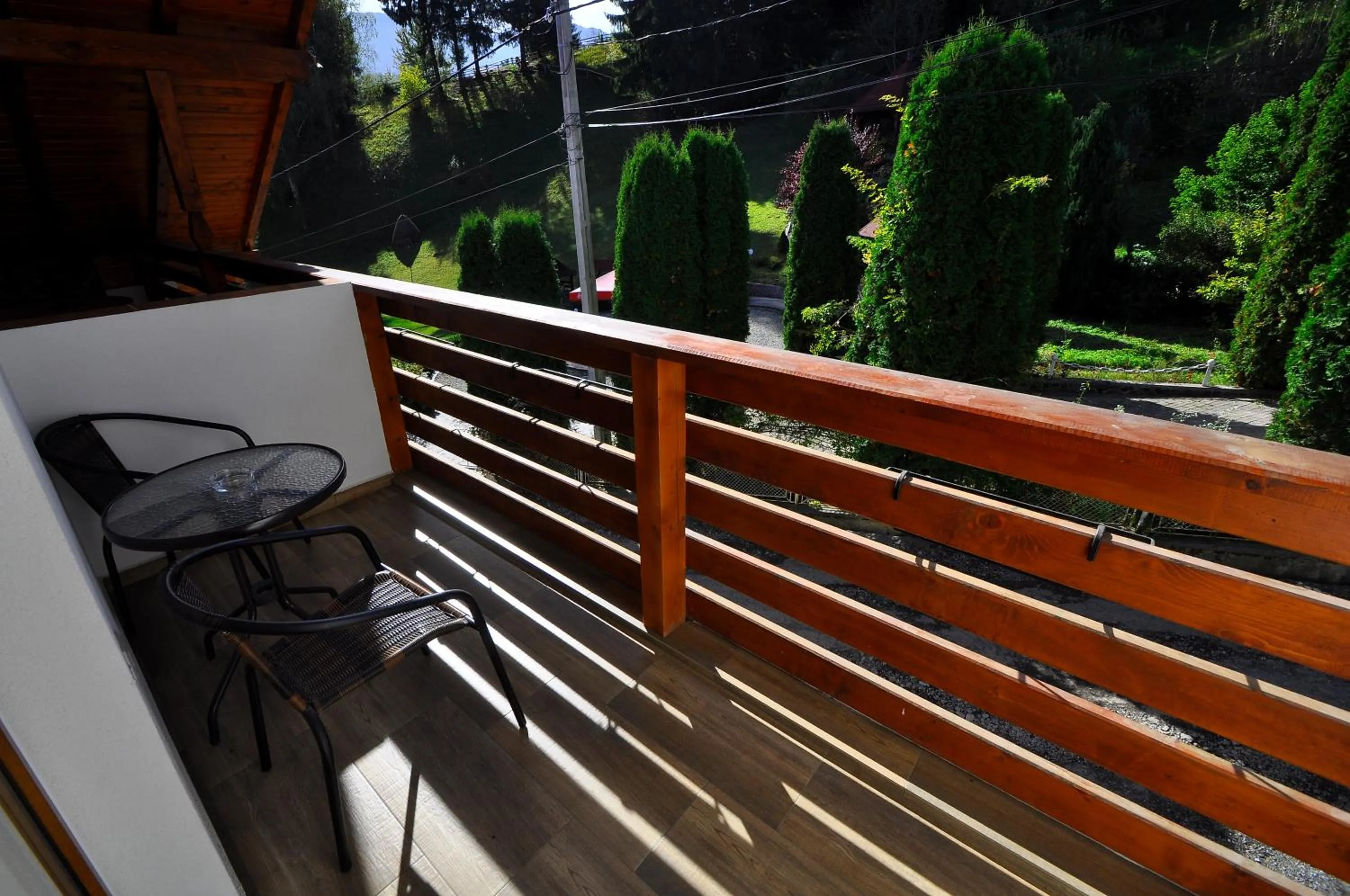 Balcony/Terrace in Pensiunea Eladi