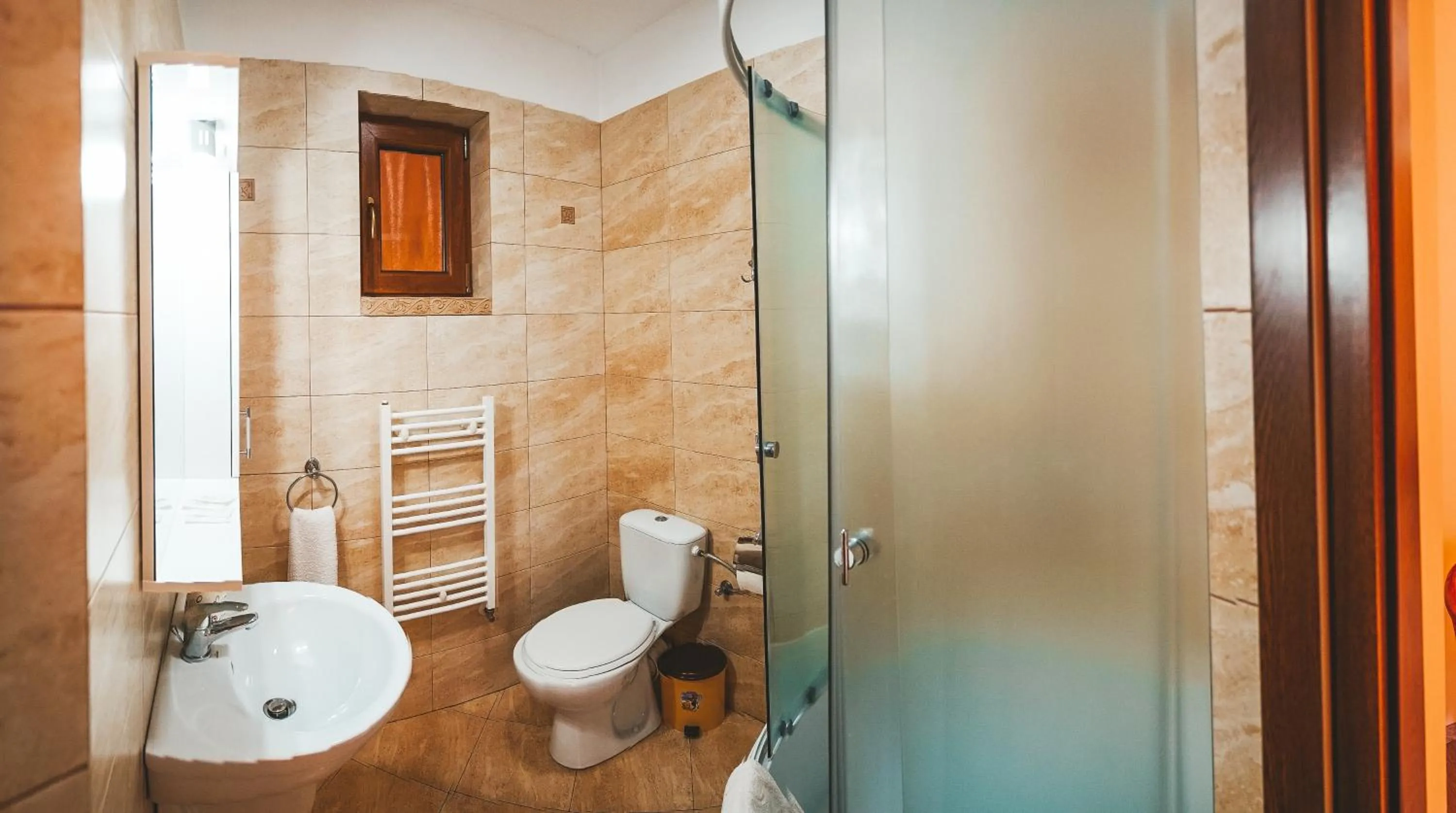 Bathroom in Pensiunea Eladi