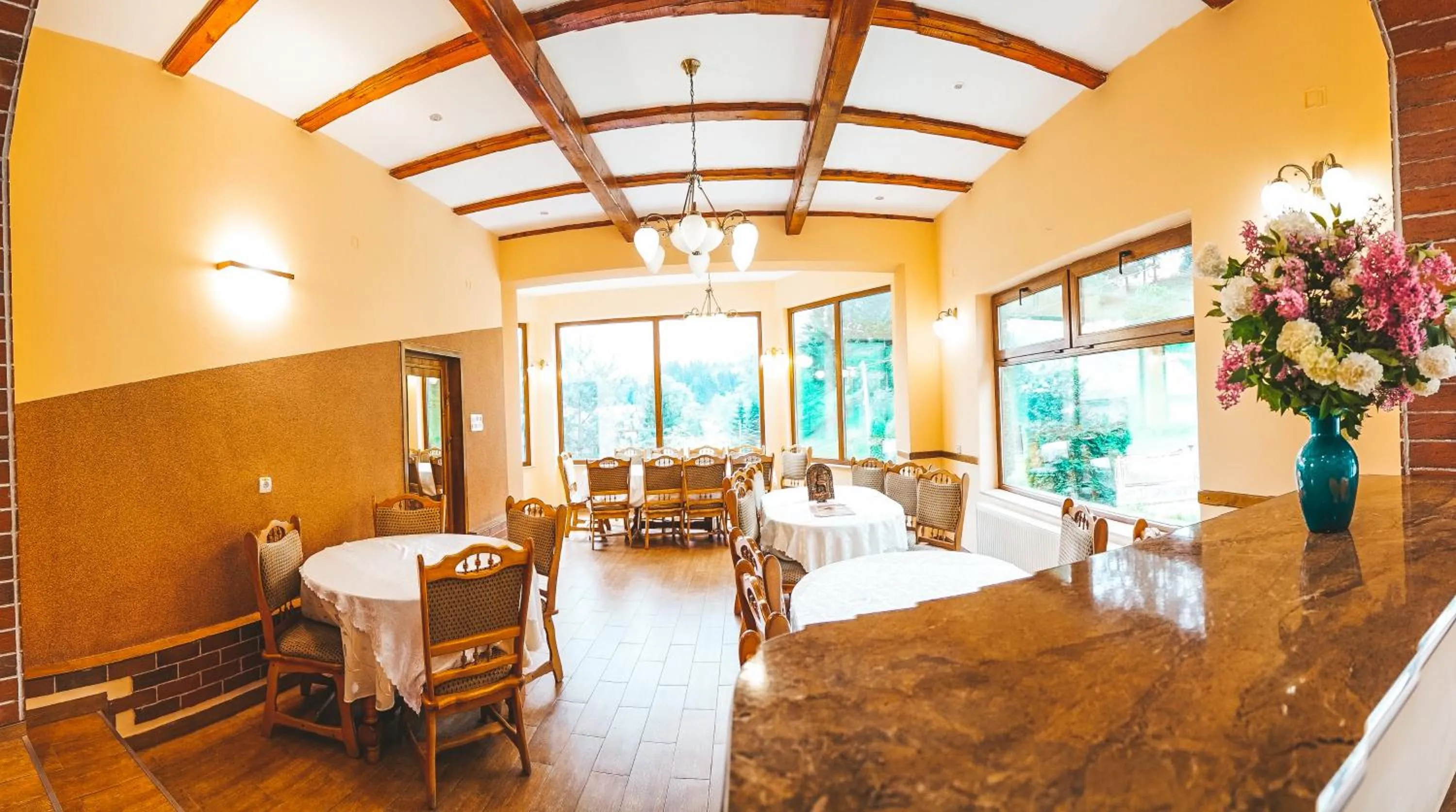 Restaurant/places to eat in Pensiunea Eladi