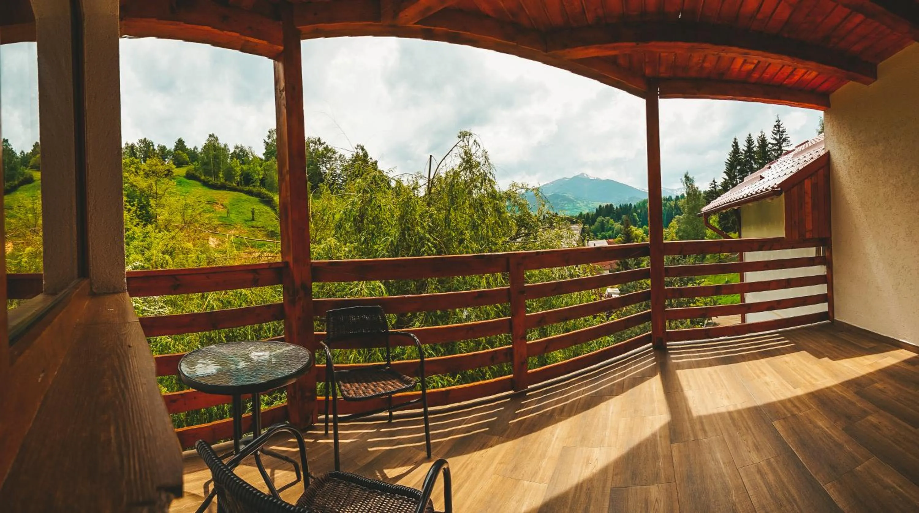 Balcony/Terrace in Pensiunea Eladi