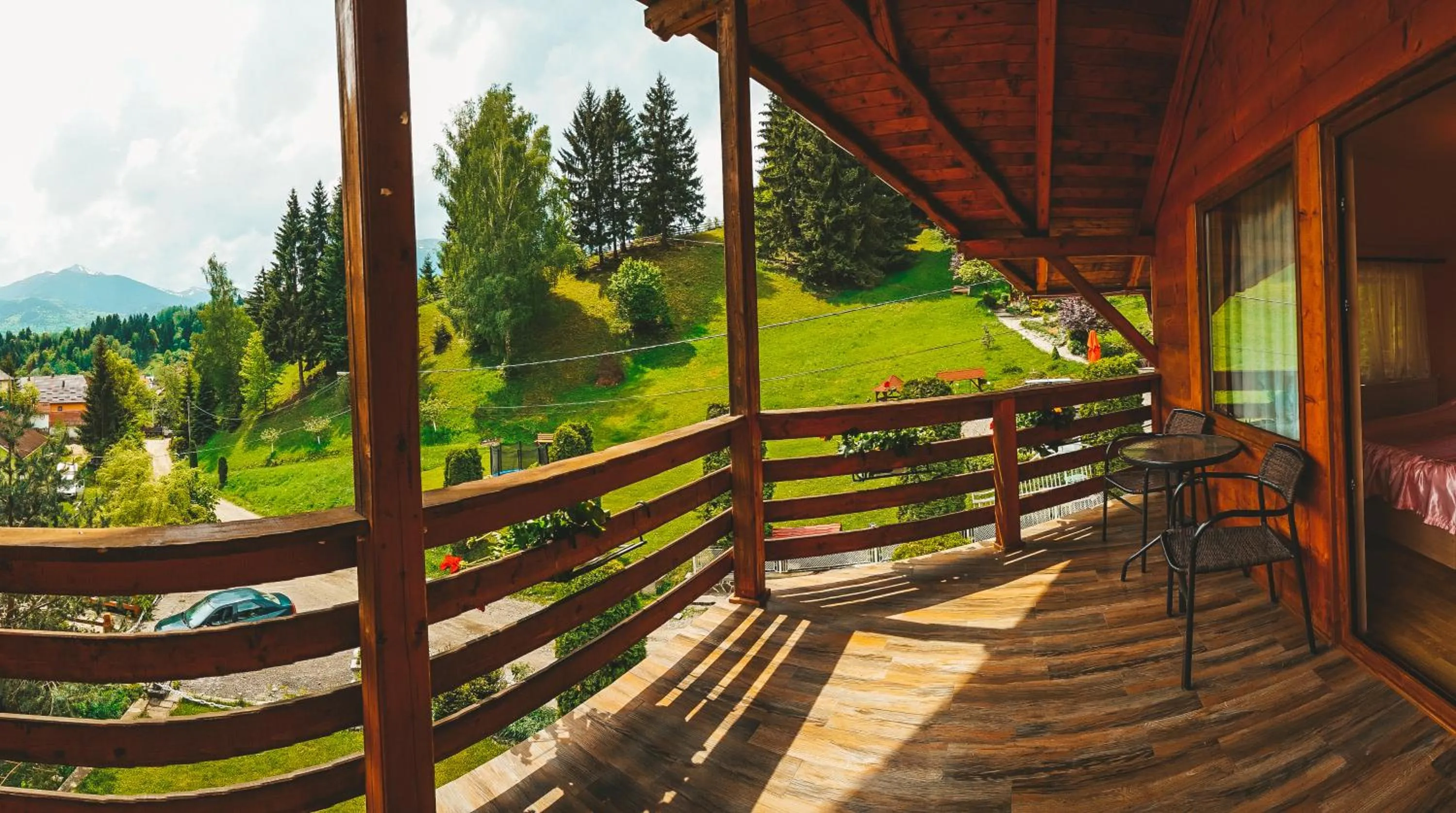 Balcony/Terrace in Pensiunea Eladi