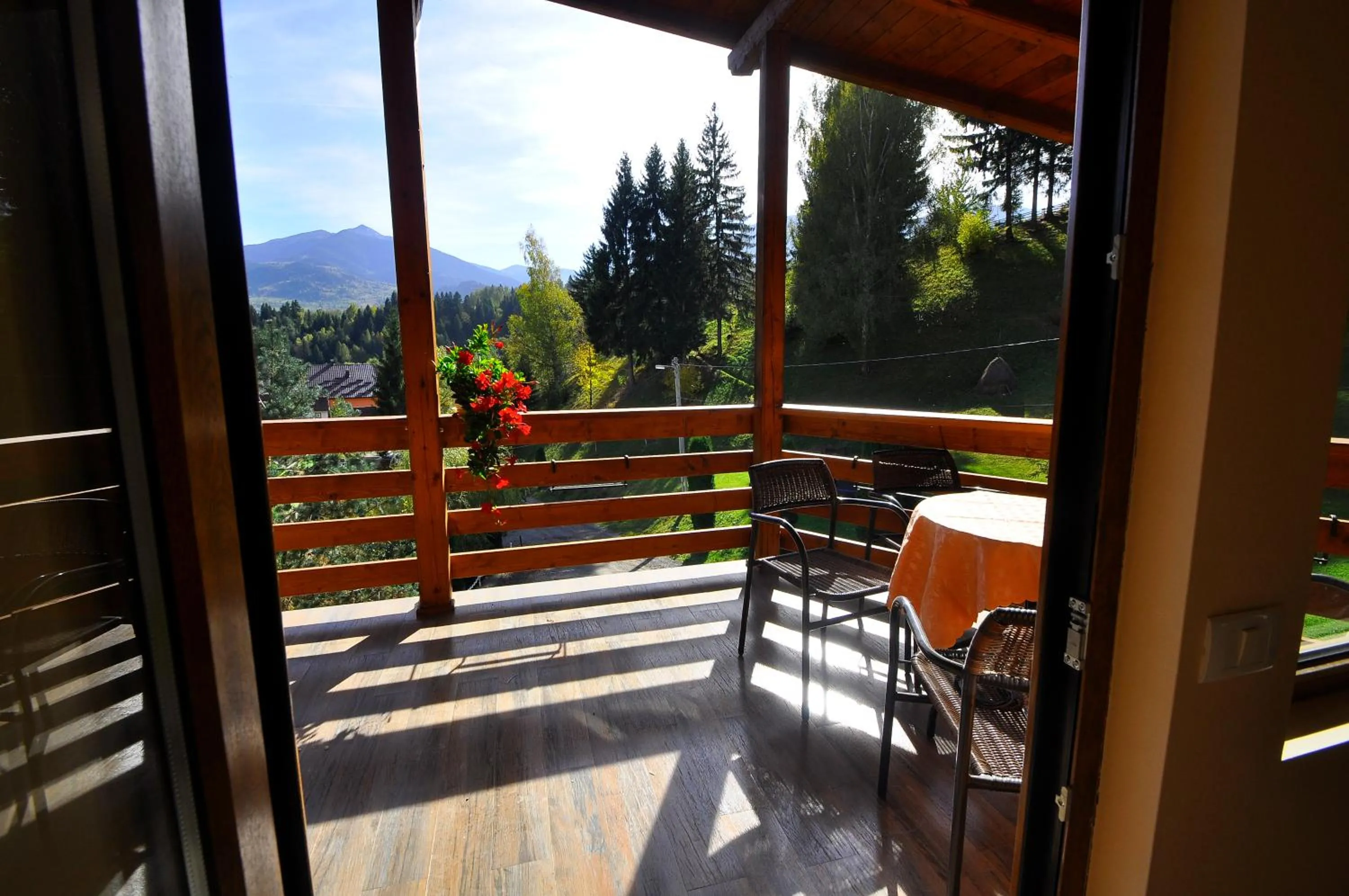 Balcony/Terrace in Pensiunea Eladi