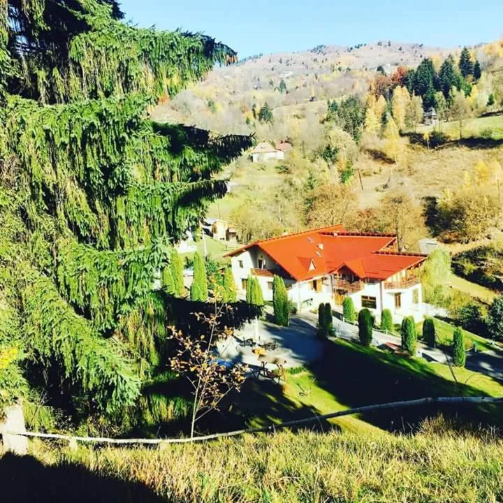 Pensiunea Eladi