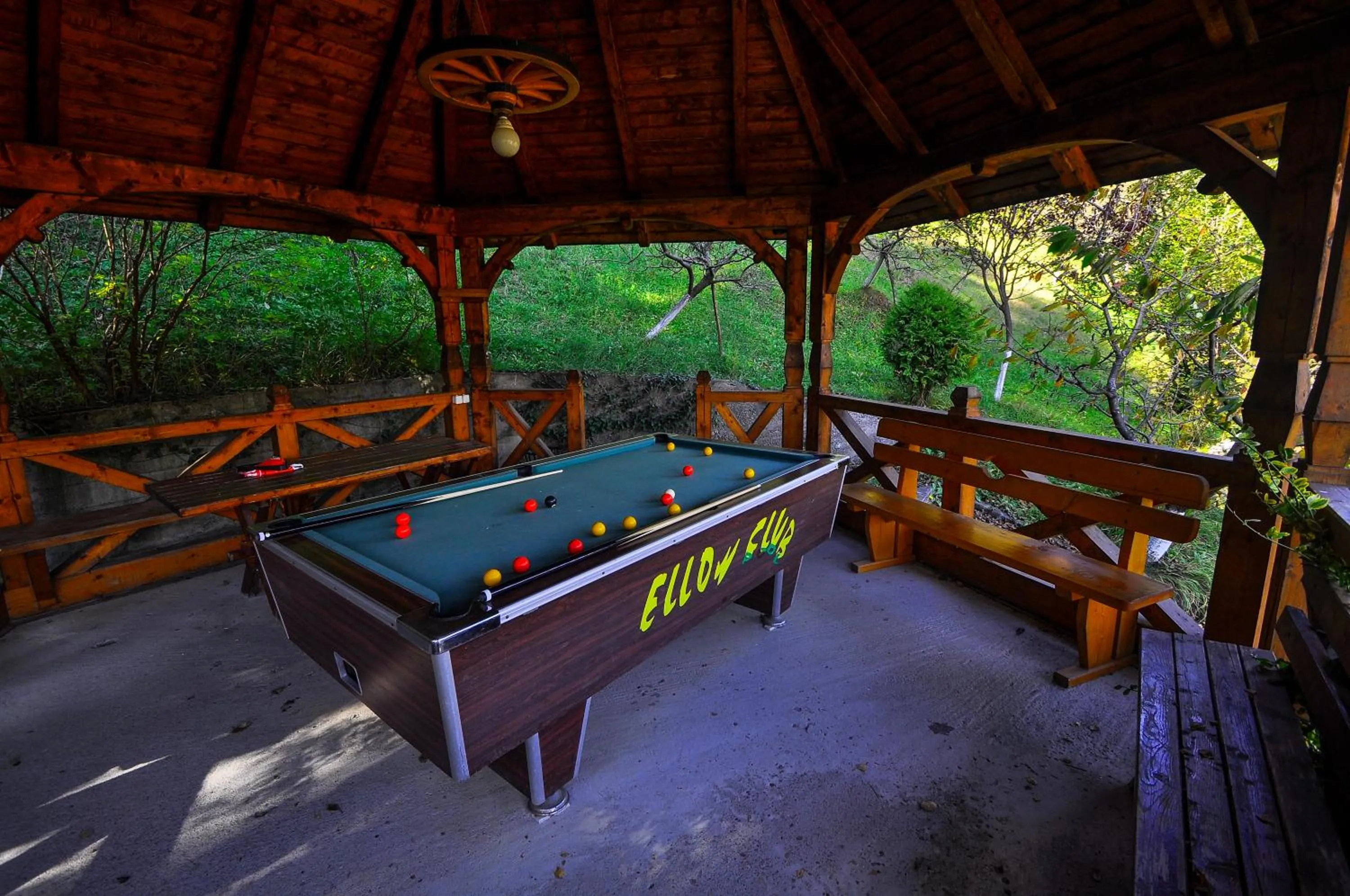 Billiard in Pensiunea Eladi