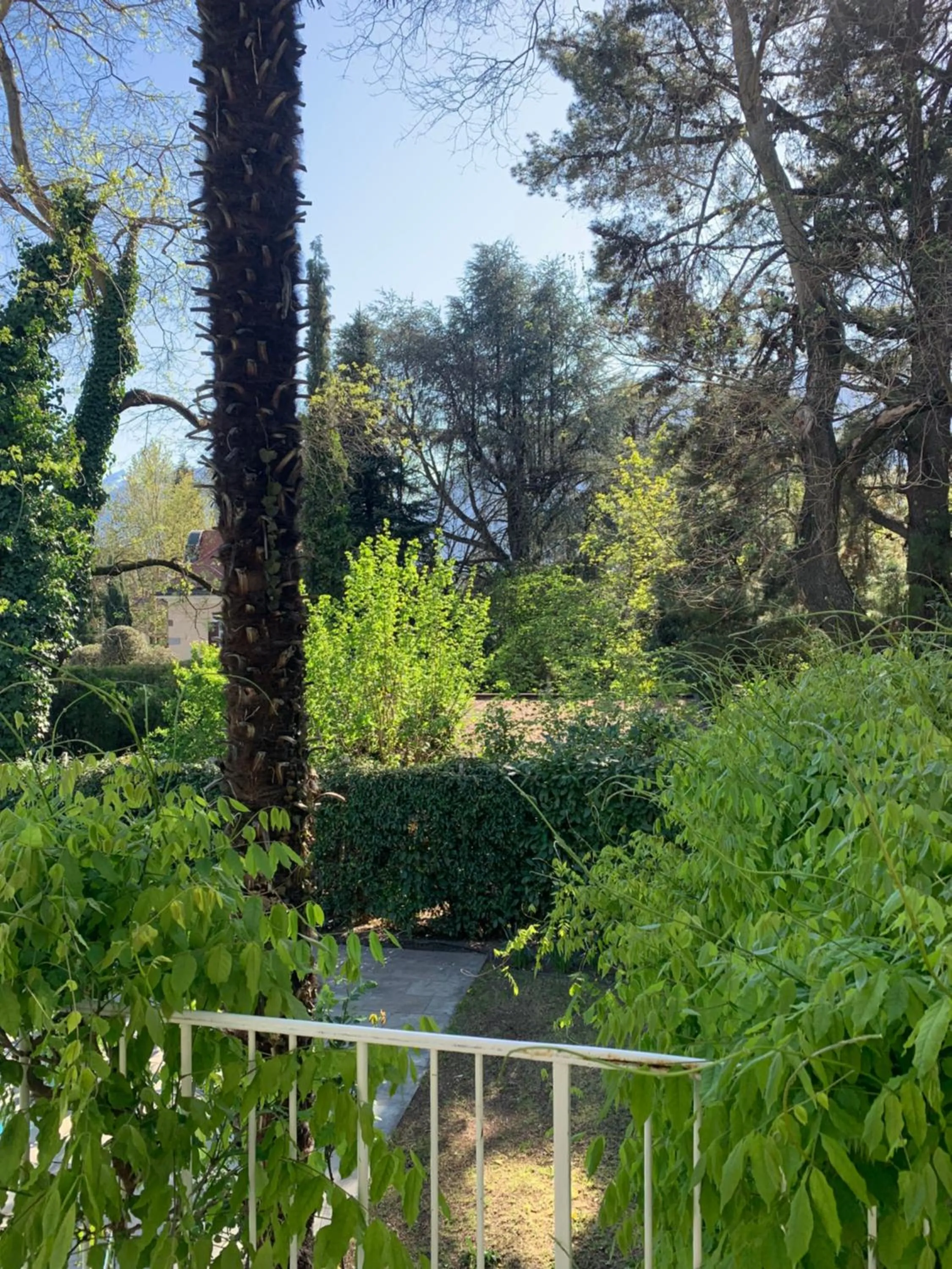 Garden view in Hotel Zima