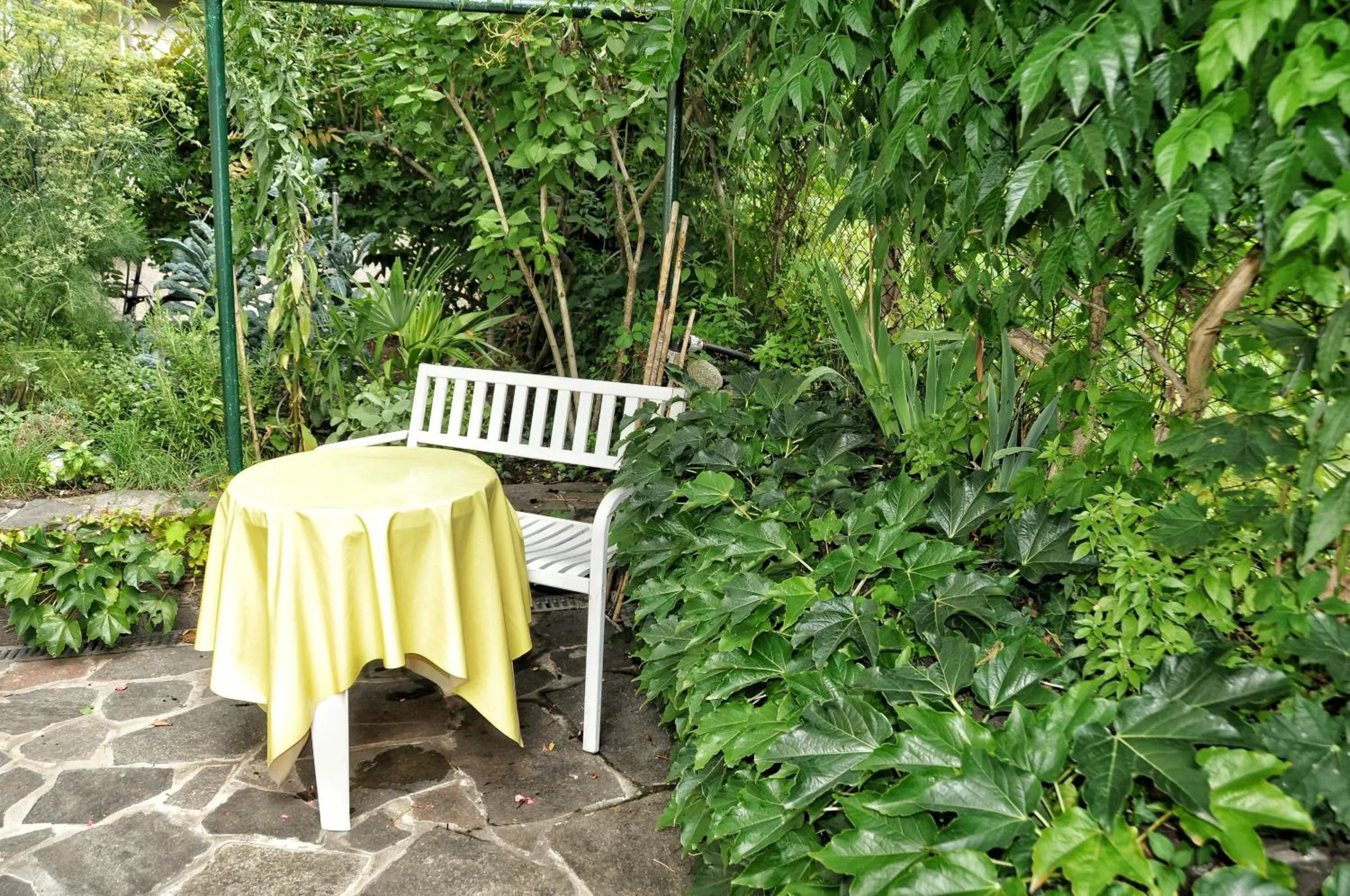 Garden in Hotel Zima