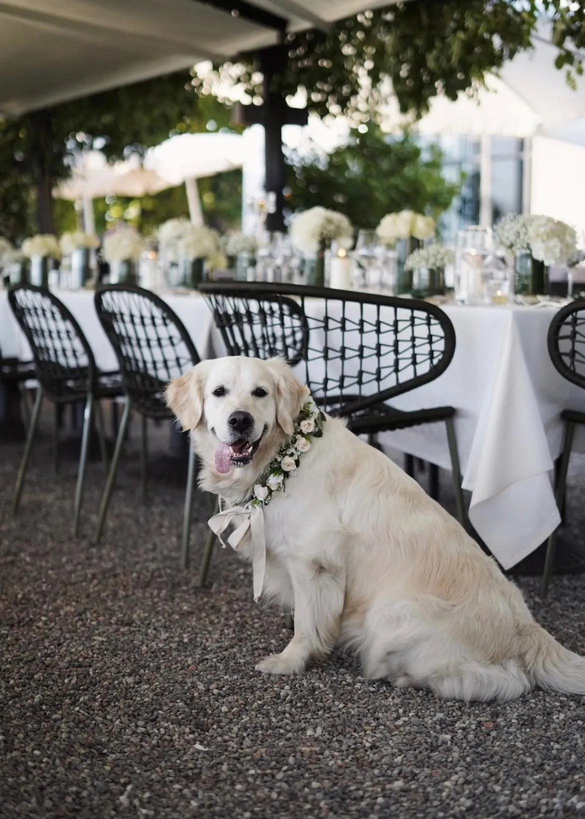 Restaurant/places to eat in Il Sole Di Ranco