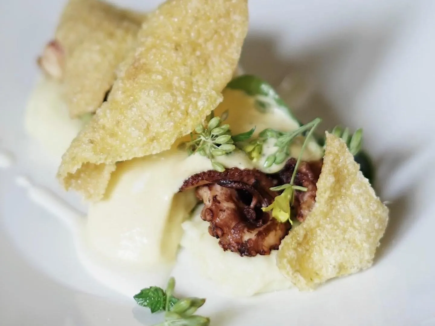 Food close-up in Il Sole Di Ranco