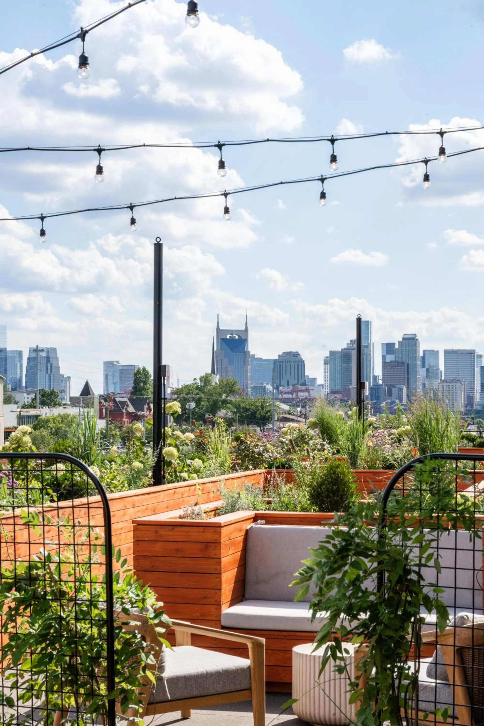 View (from property/room) in Waymore's Guest House