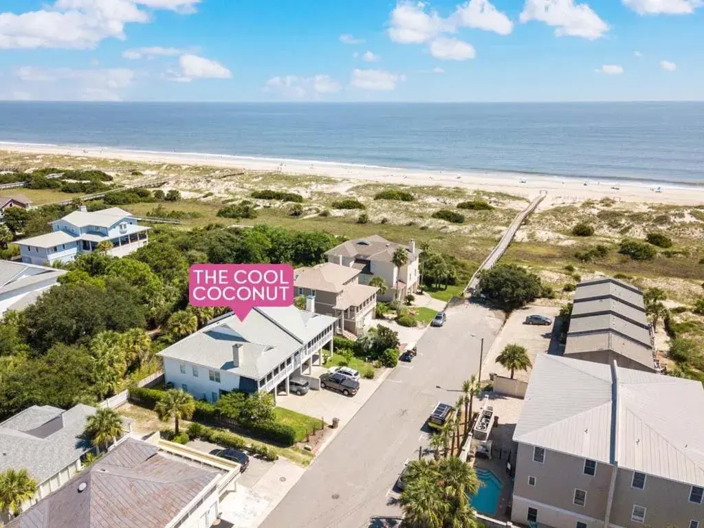 The Cool Coconut The Cool Coconut