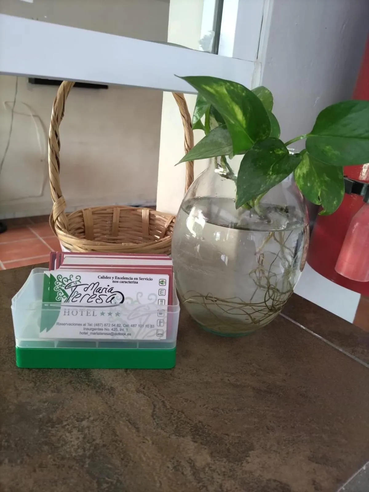 Lobby or reception in HOTEL MARIA TERESA