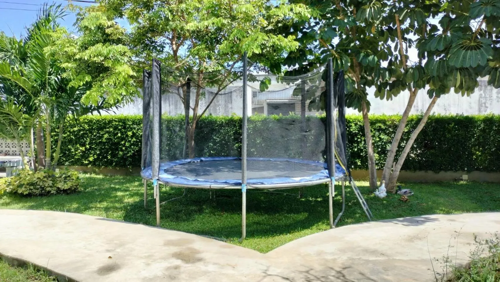 Garden in The Modeva Hotel