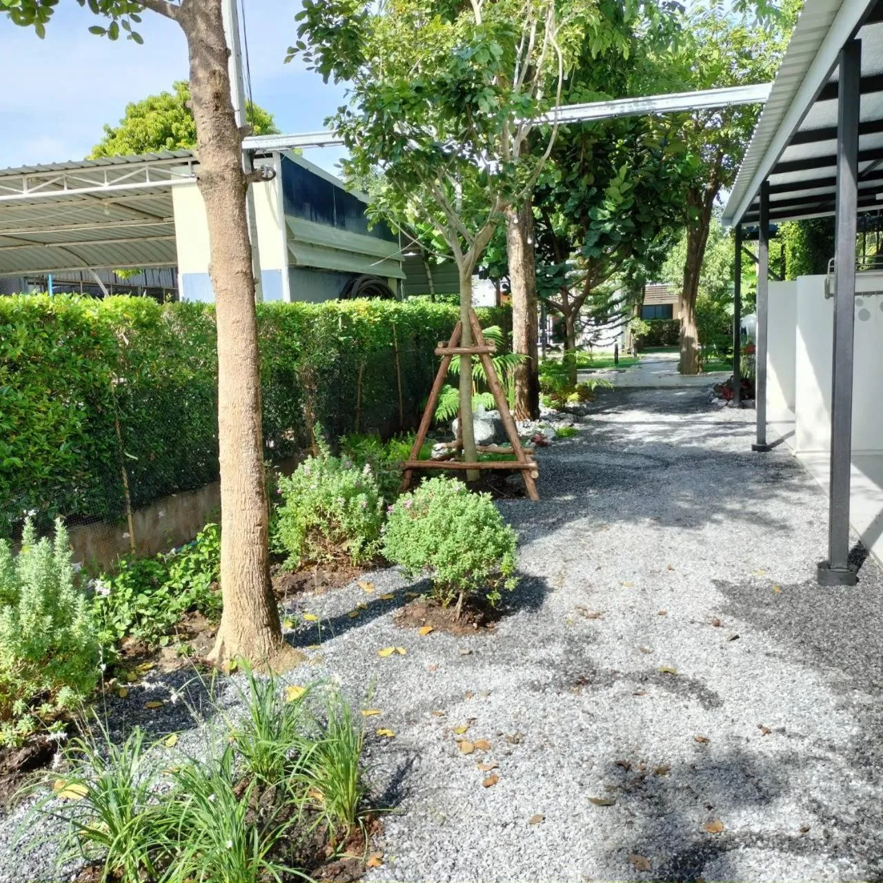 Garden in The Modeva Hotel