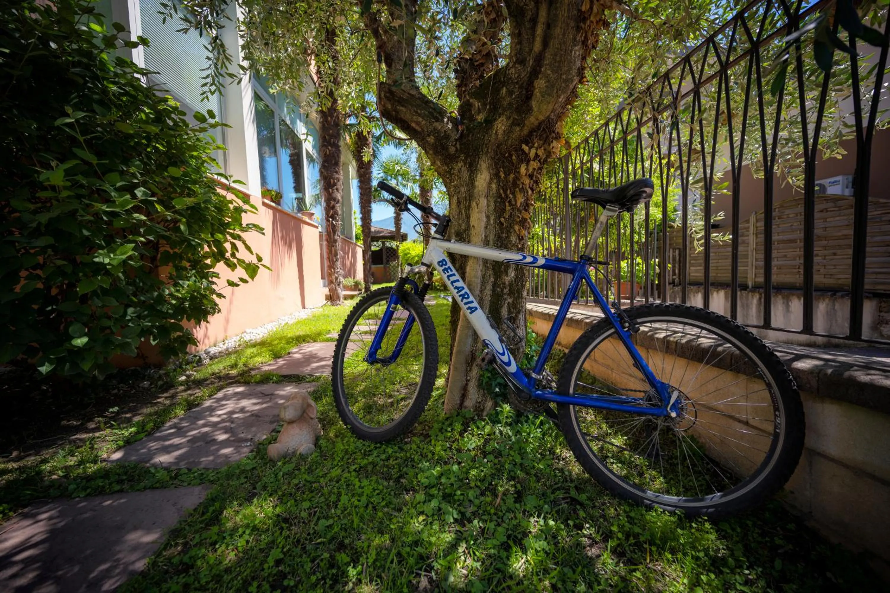 Activities in Villa Bellaria