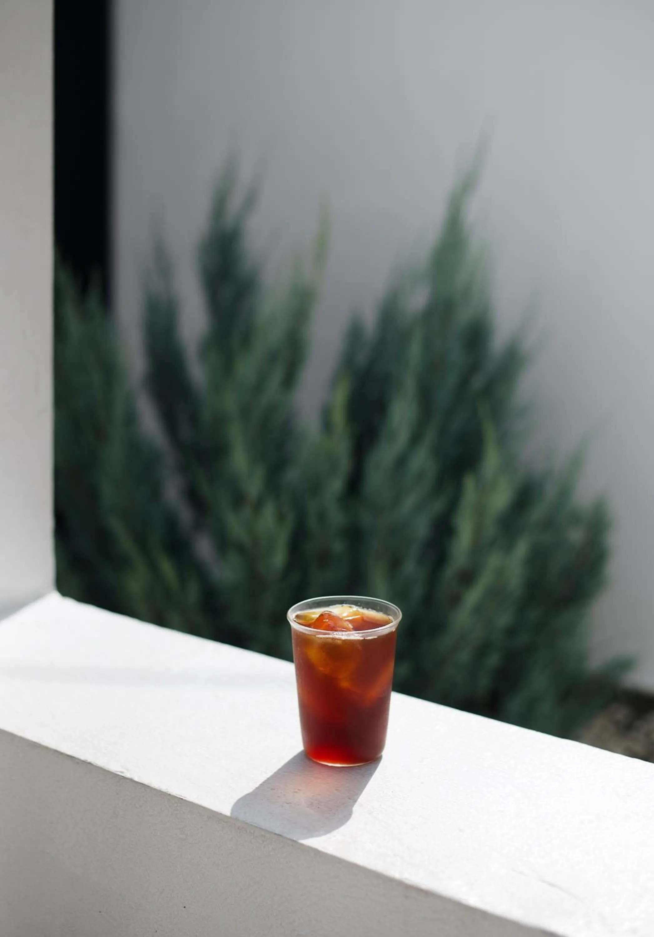 Food and drinks in Evergreen Cafe and Hotel