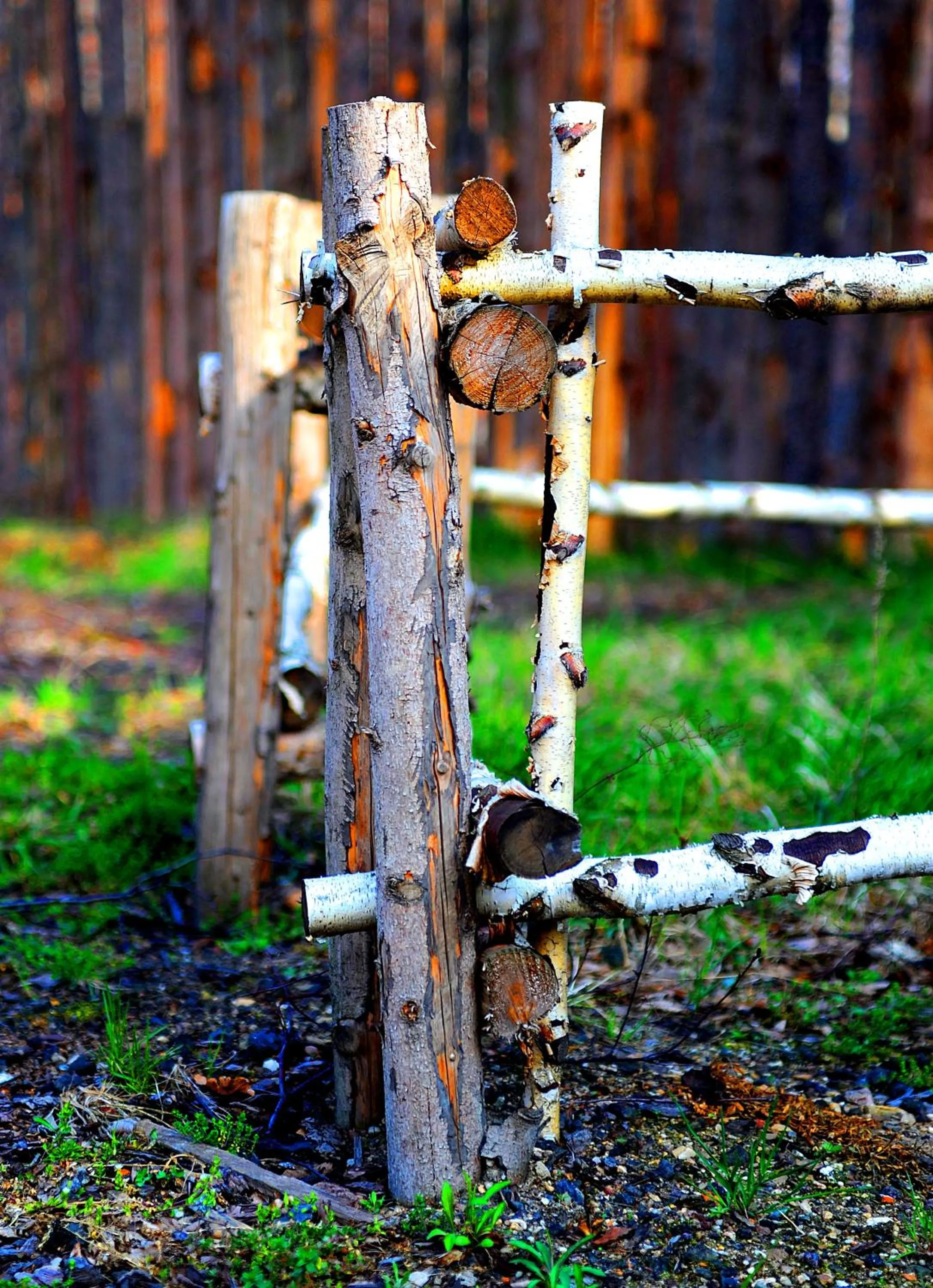 Decorative detail in Hotel Arkadia
