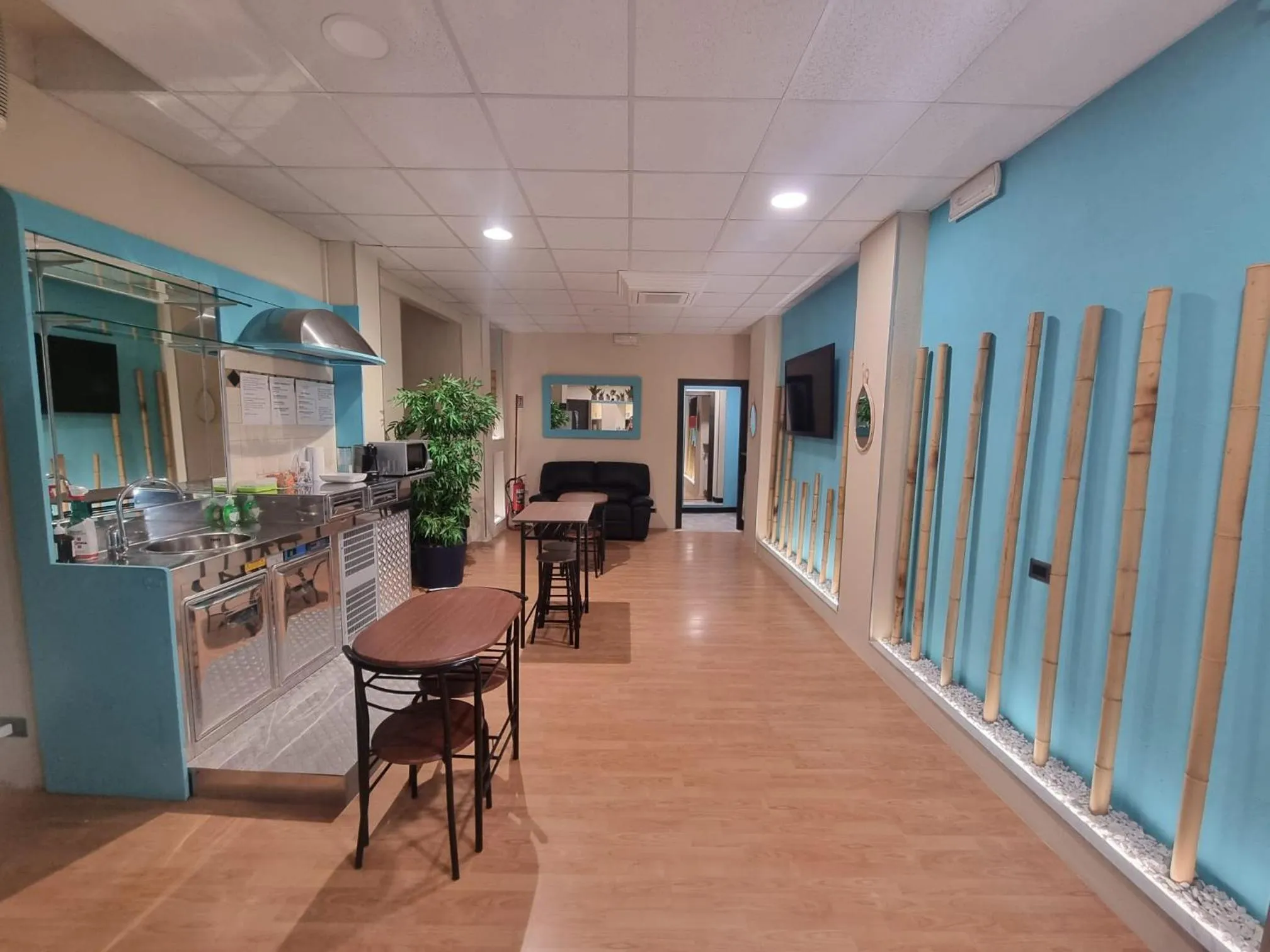 TV and multimedia in Mini Hotel