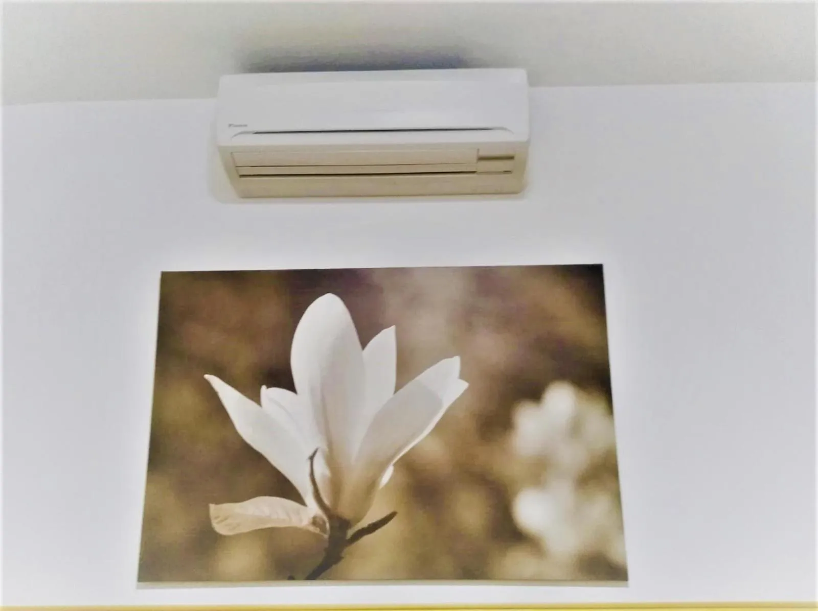 Communal lounge/ TV room in Mini Hotel