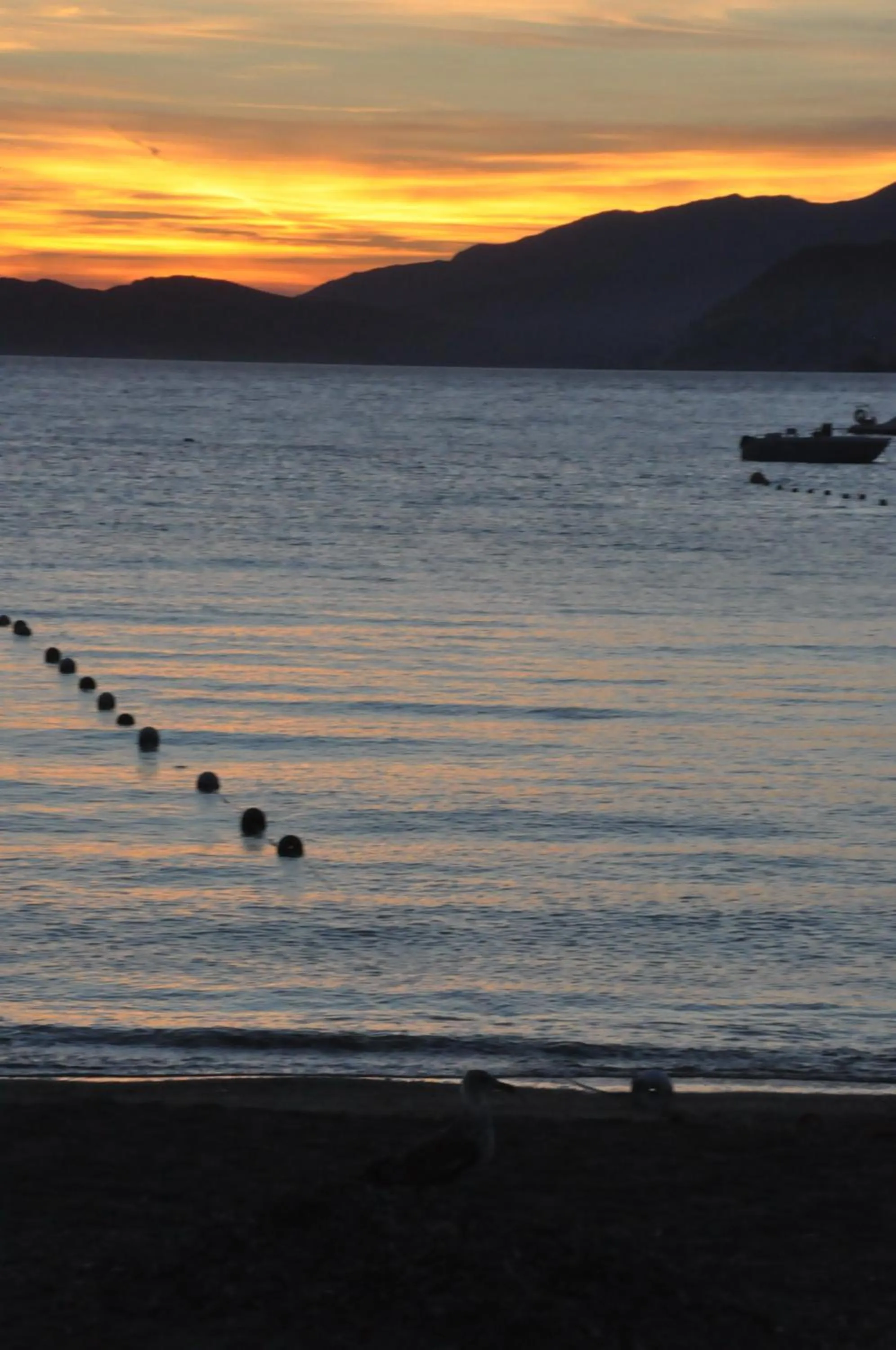 View (from property/room) in Appartamenti Villa Miramare