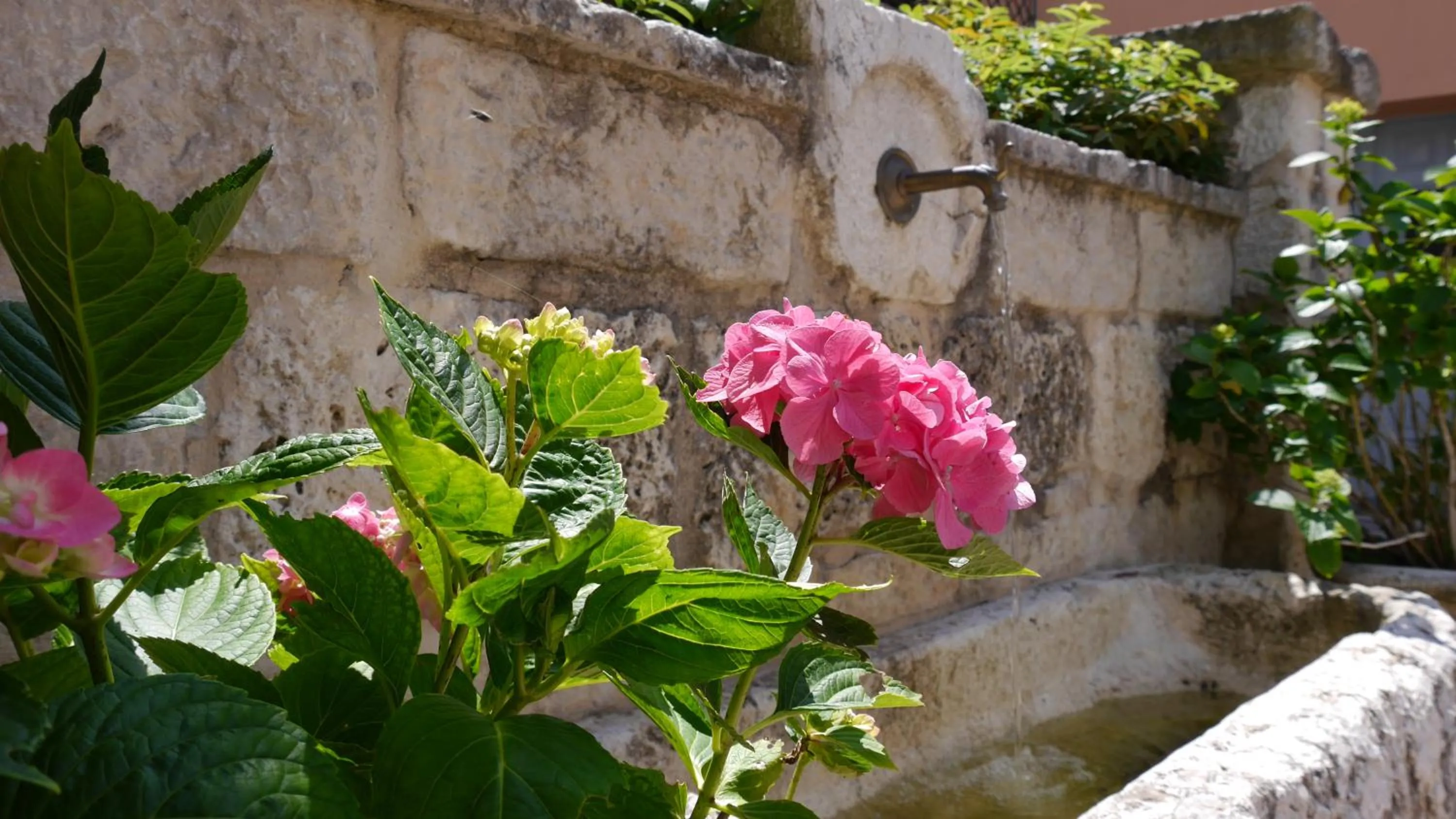 Fontana Vecchia