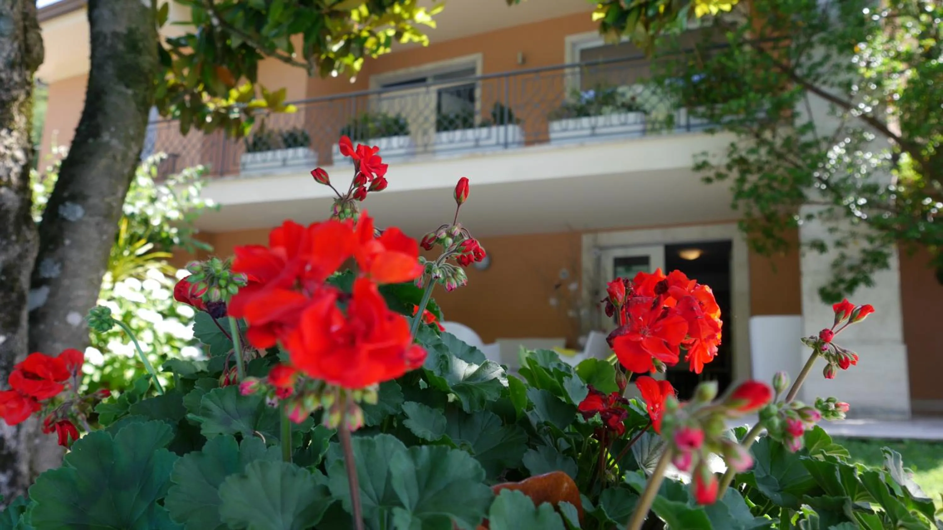 Property building in Fontana Vecchia