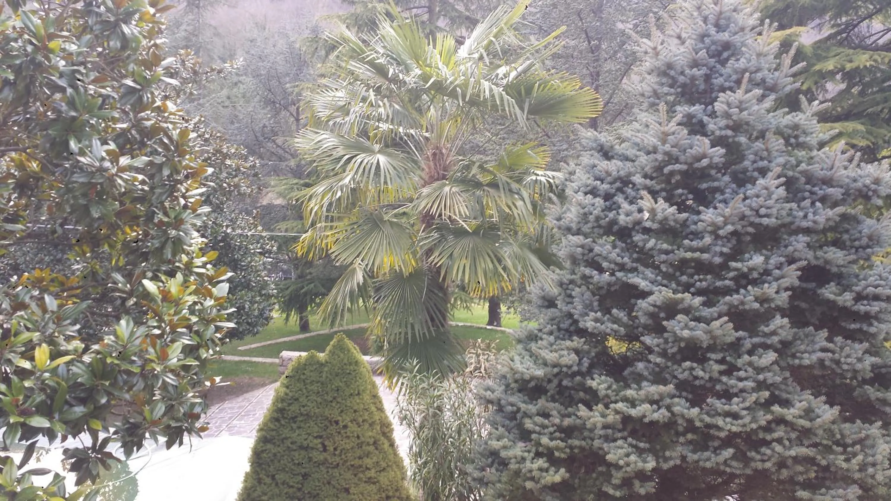 Garden in Fontana Vecchia