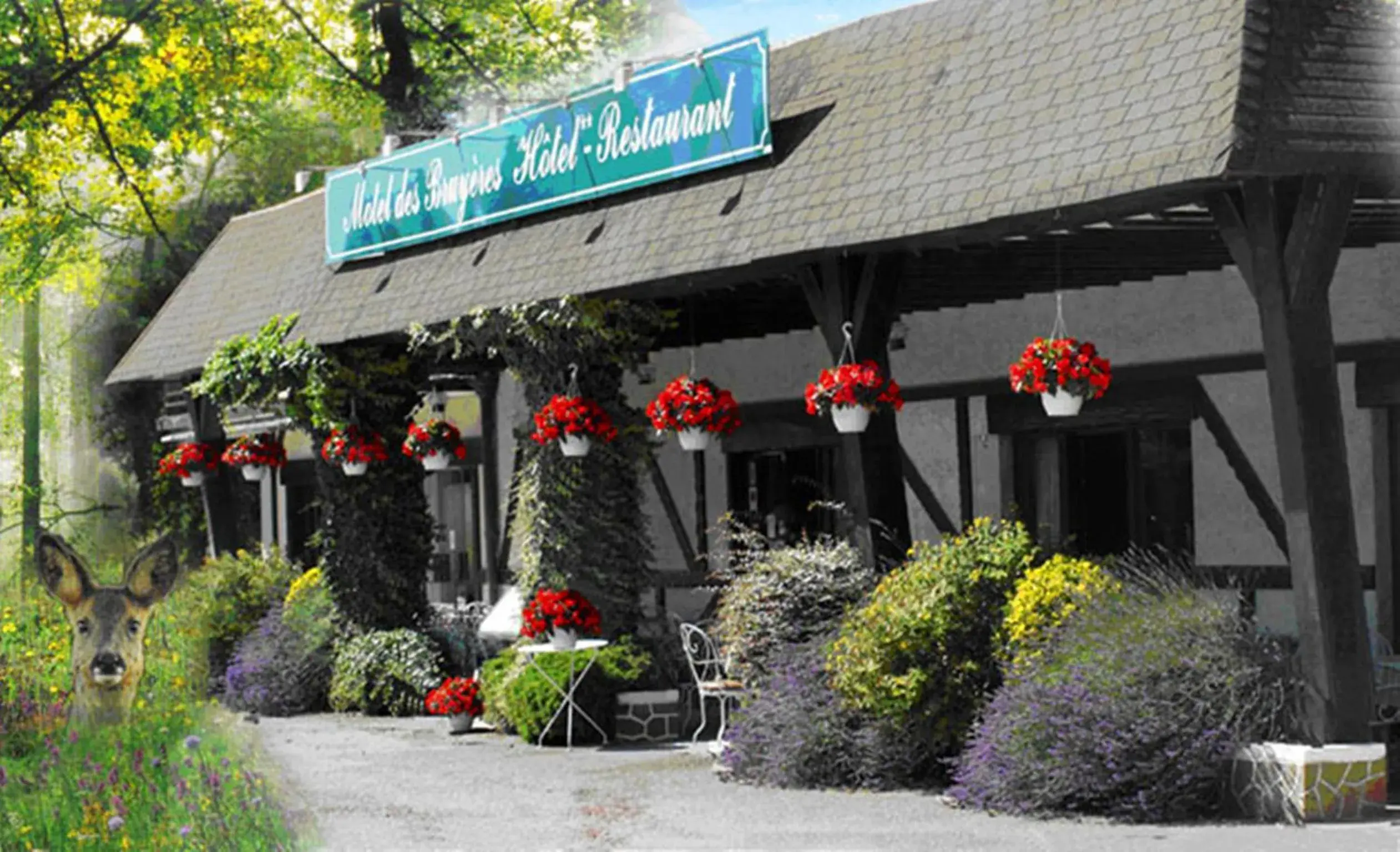 Motel des Bruyères Motel des Bruyères