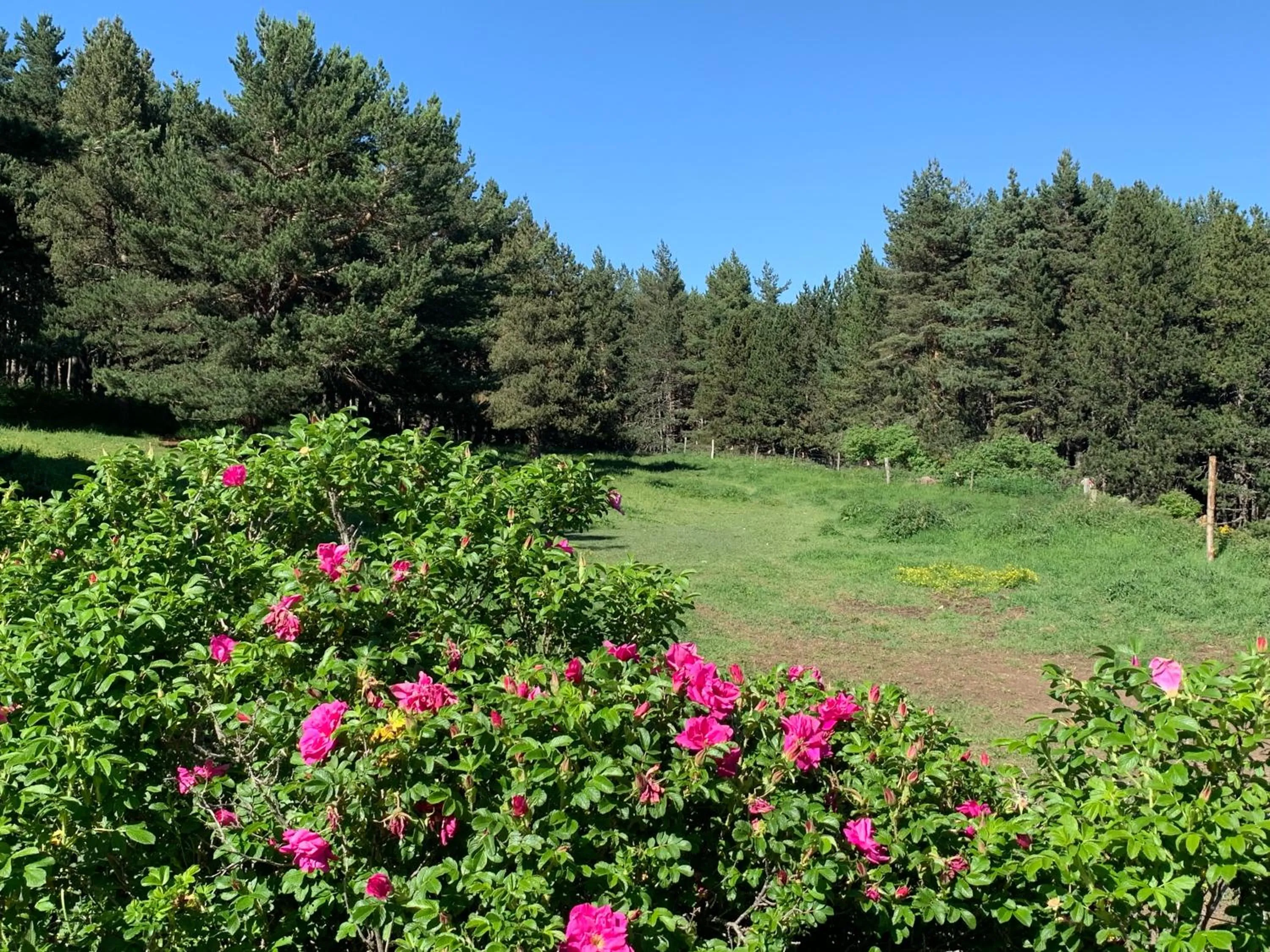 Gîte Ranch Le Serpolet