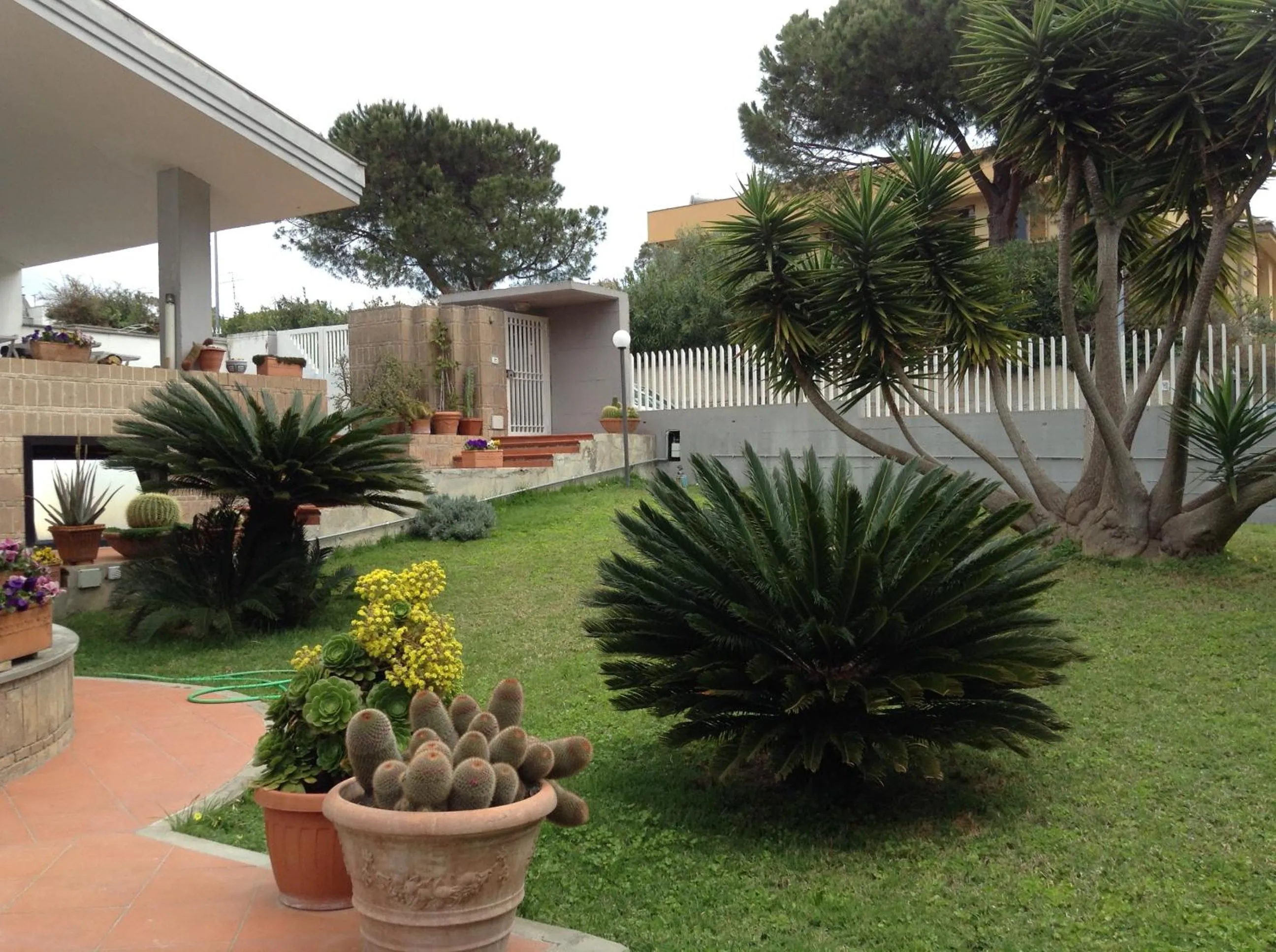 Garden in Acquamarina
