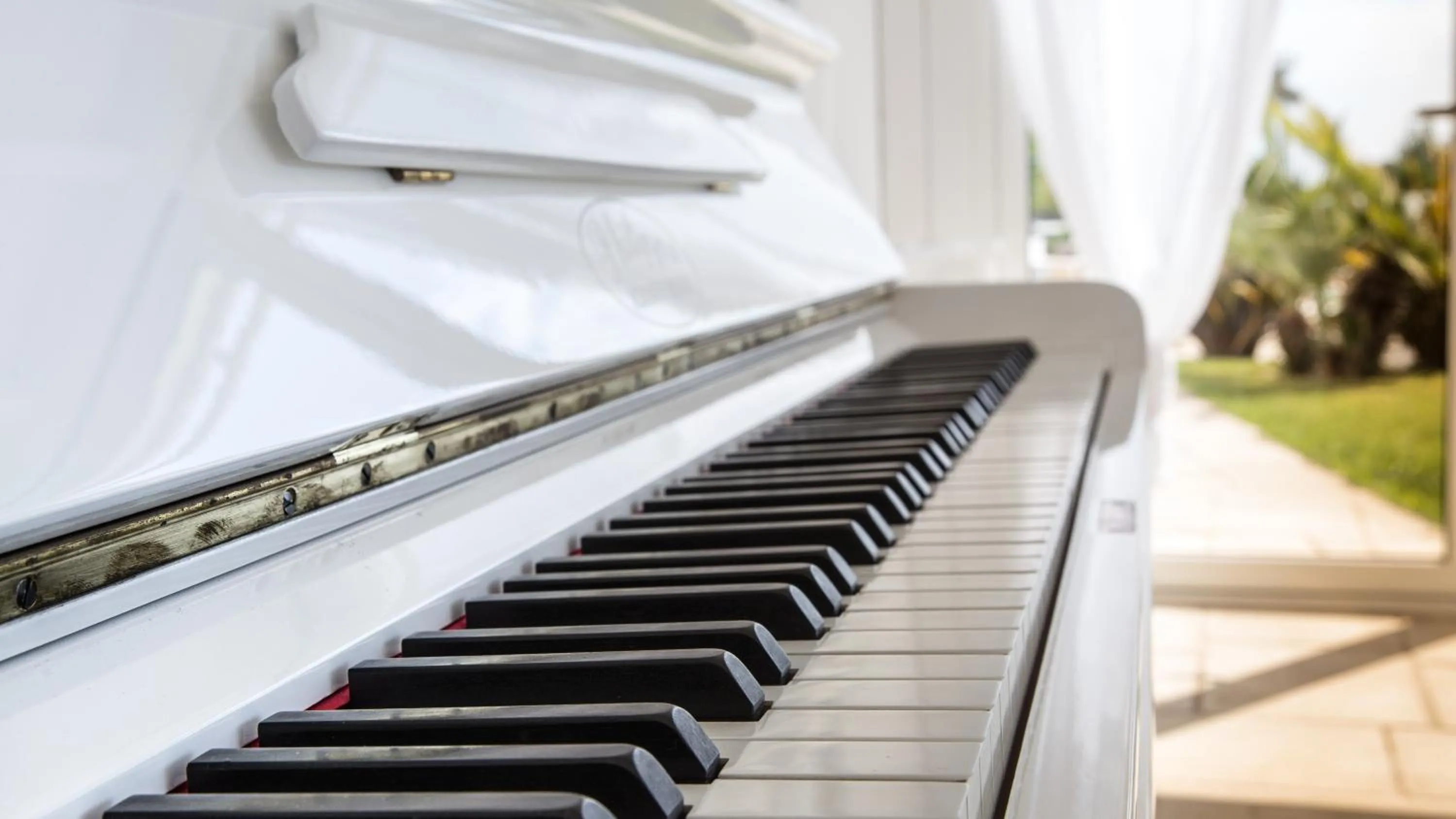 Area and facilities in Tenuta Centoporte