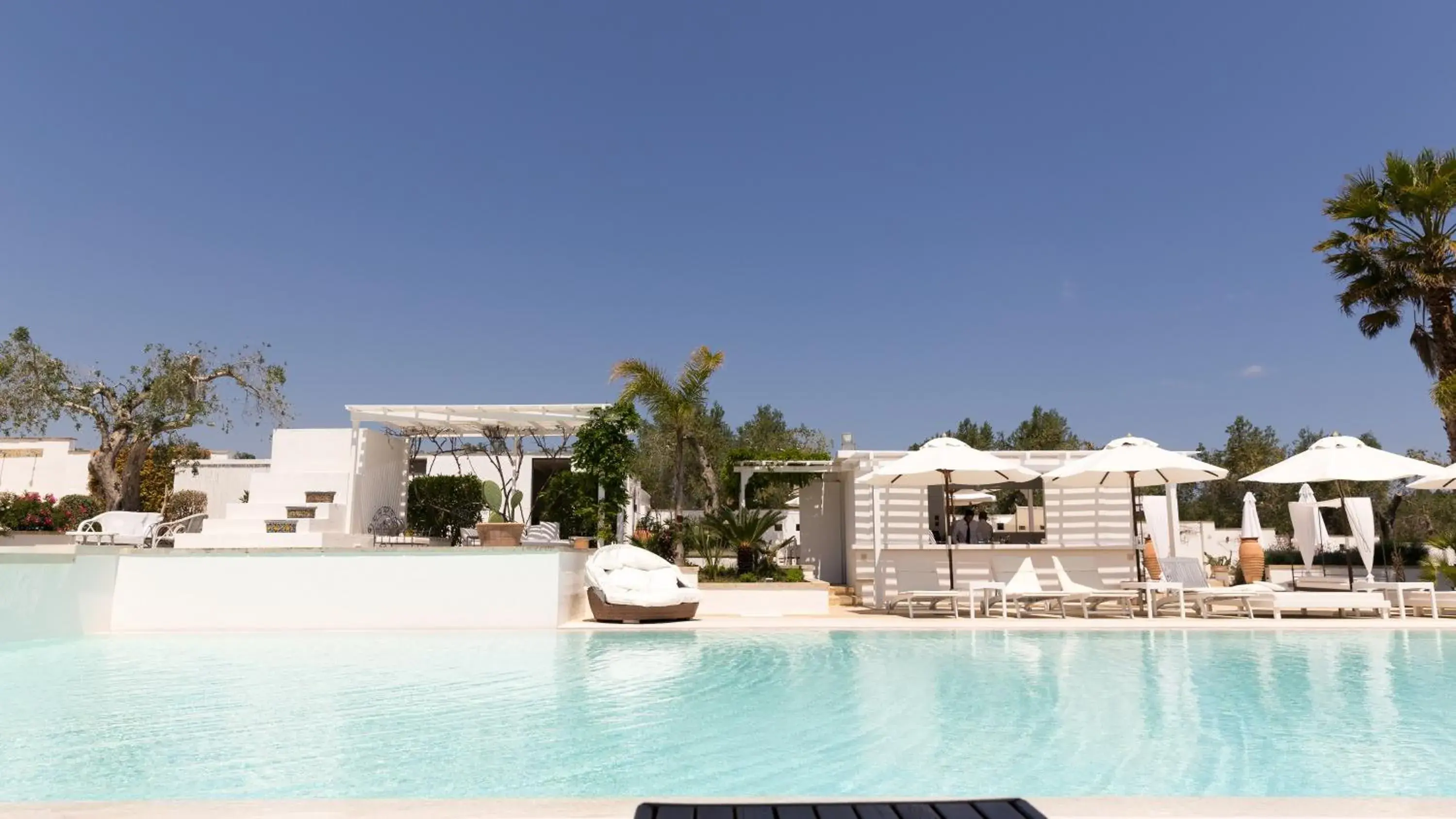 Pool view in Tenuta Centoporte Pool view in Tenuta Centoporte