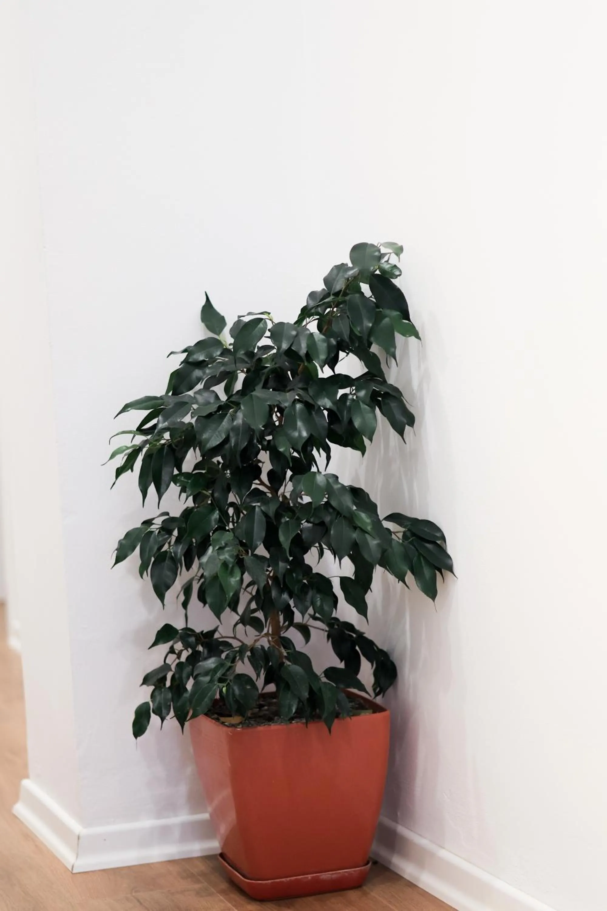 Decorative detail in SEA & LAKE VIEW VILLA