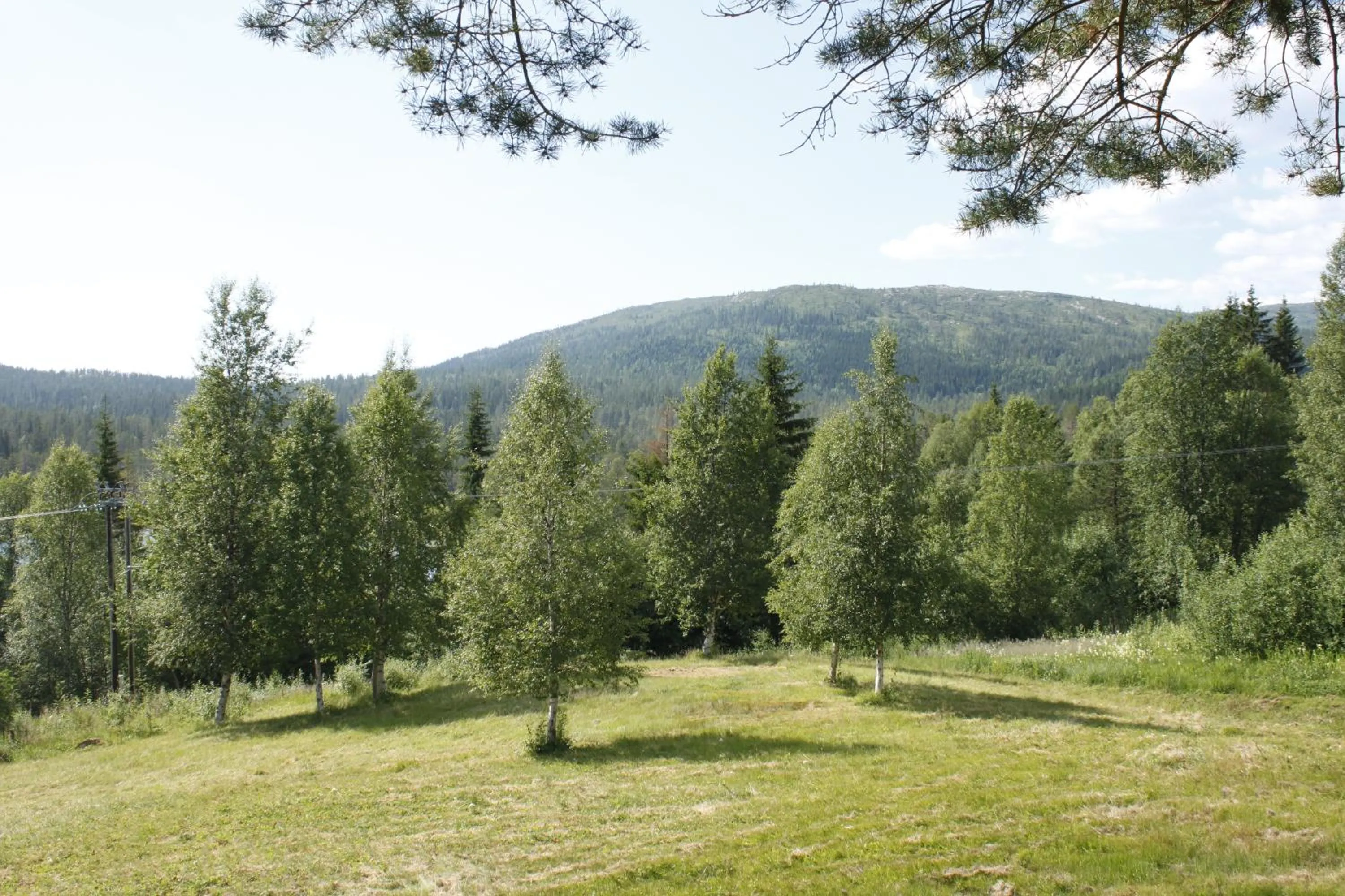 Garden in Heia Gjestegård