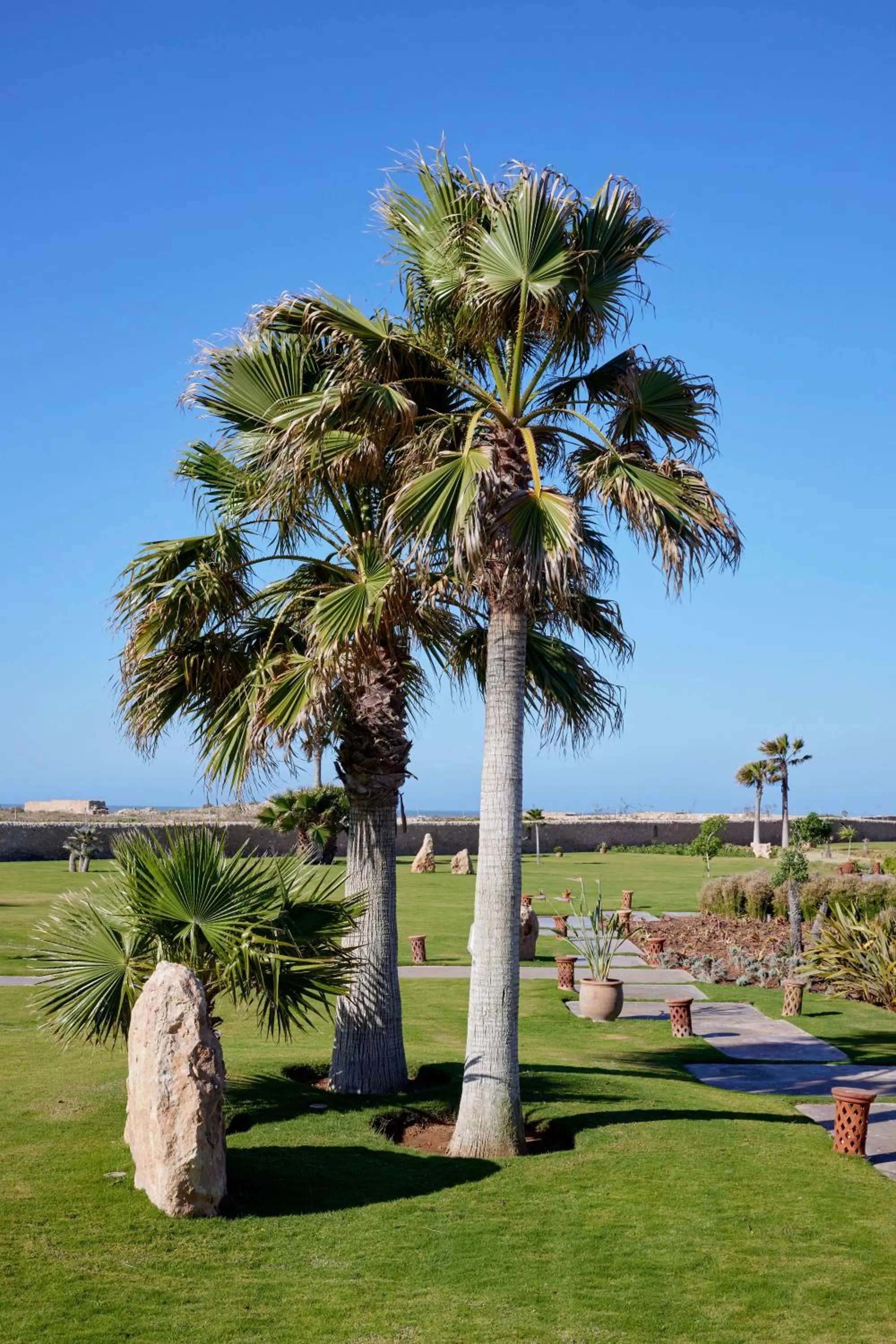 BABERRIH Hôtel Hospitality Palaces & Resorts