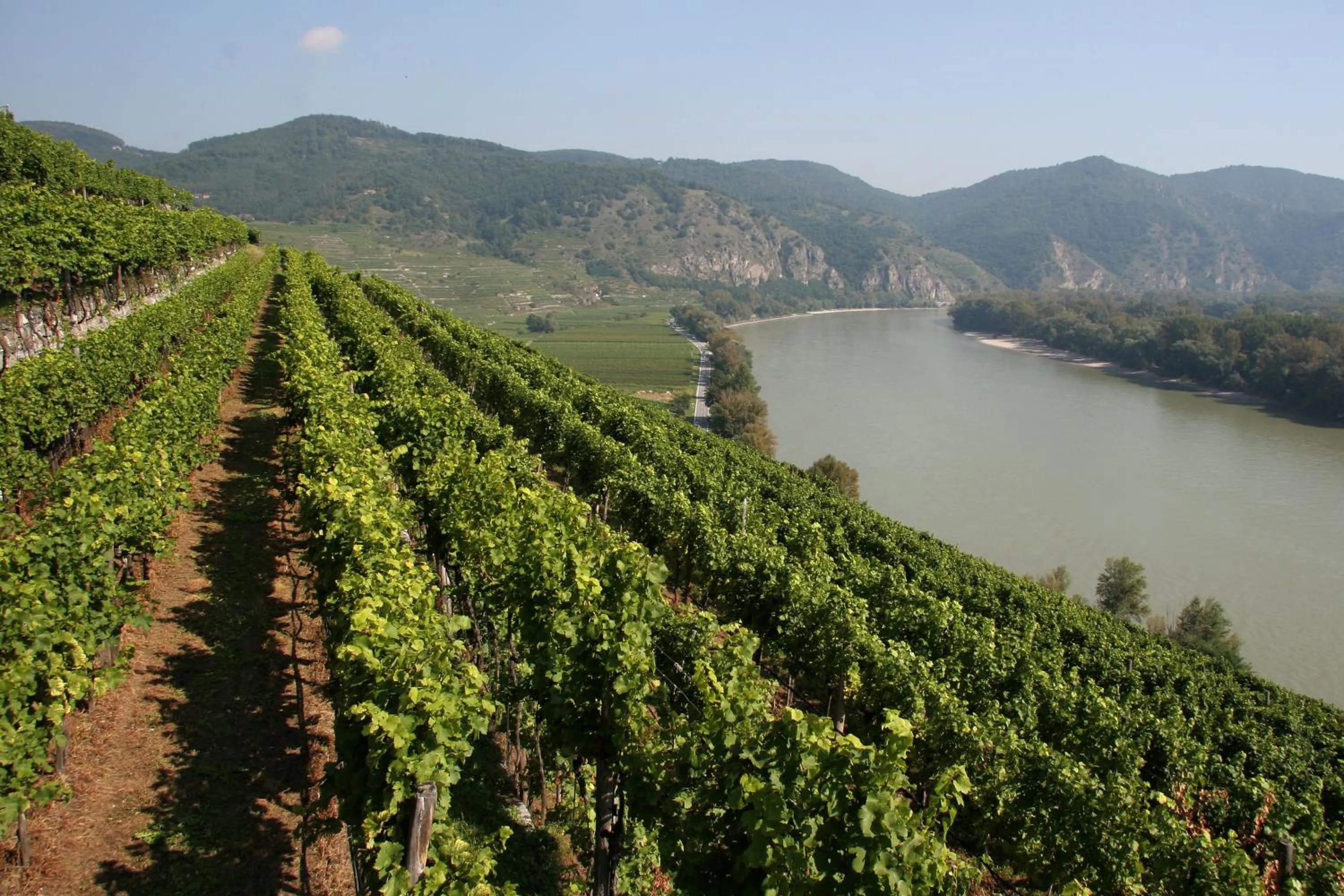 Area and facilities in Heritage Dürnstein